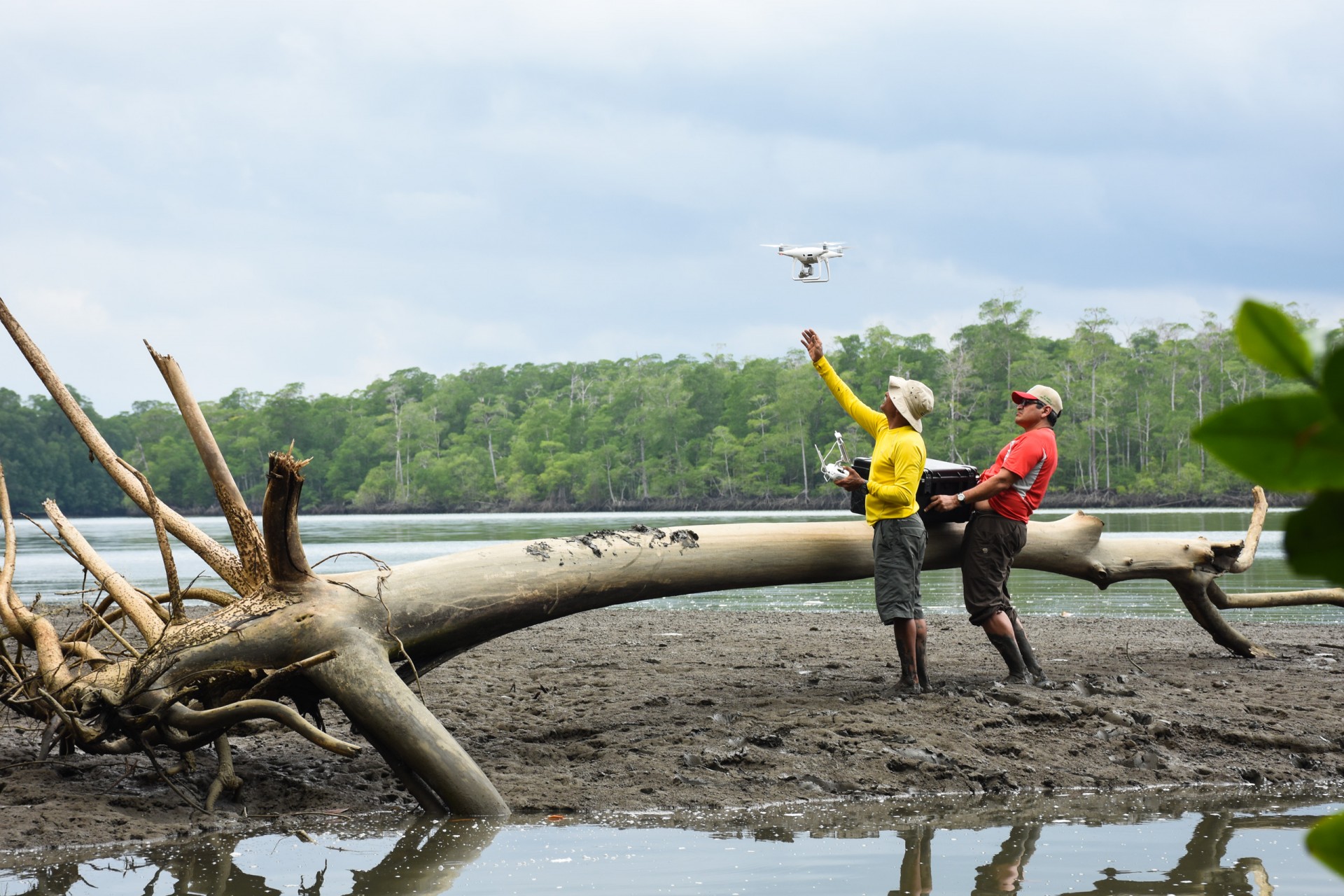 Using Drones to Monitor Tropical Forests in 3 Dimensions - Vimarsana News