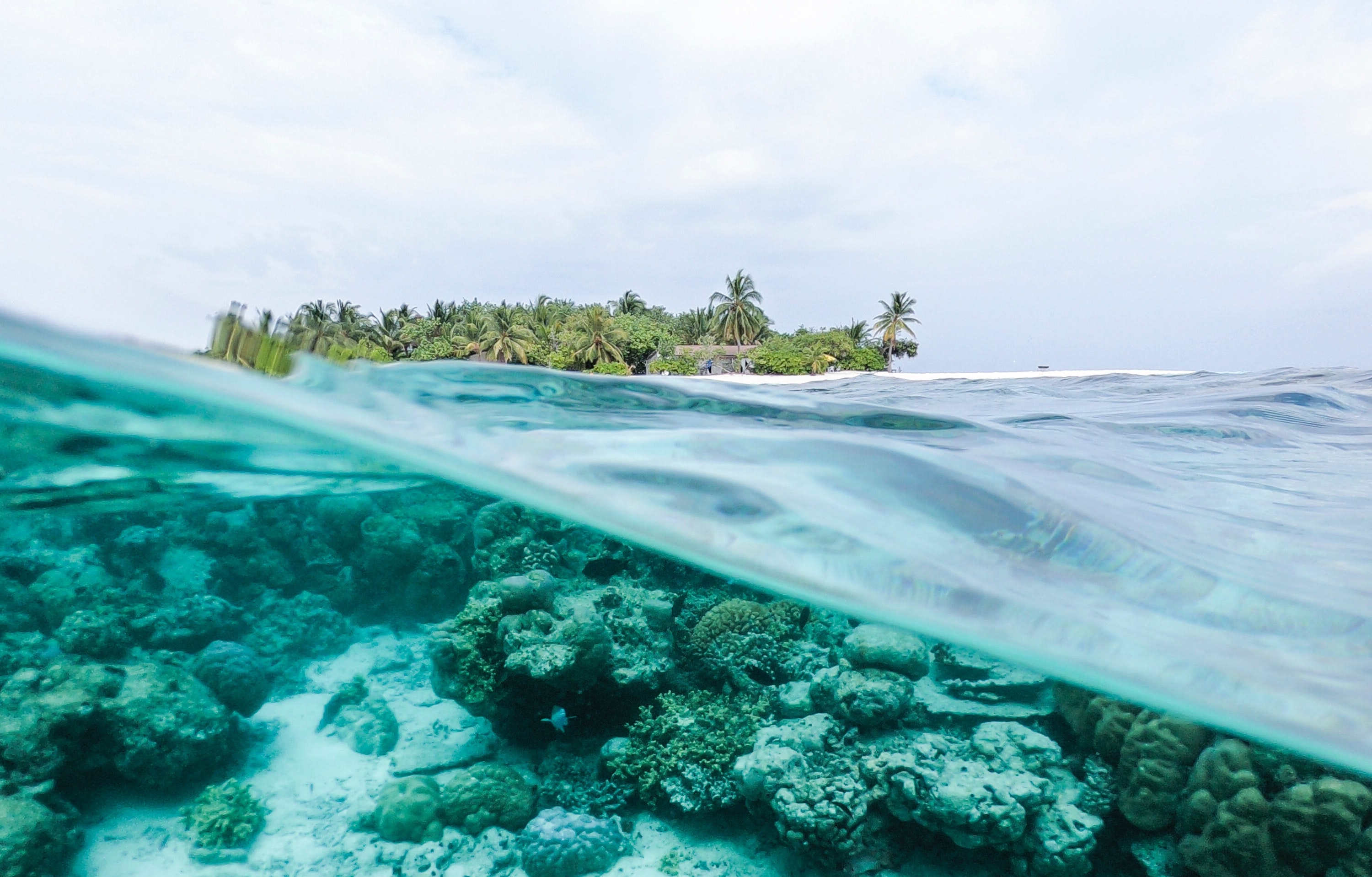 Science from Sea to Sky - Vimarsana News