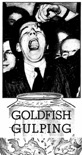 20110520110701Goldfish-gulping.gif