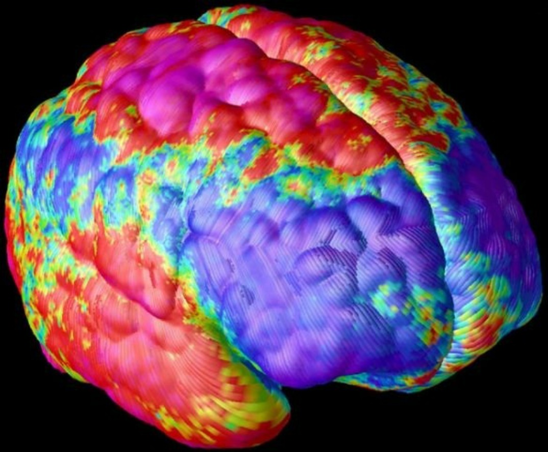 A New Way to Trick the Brain and Beat Jet Lag | Innovation| Smithsonian Magazine