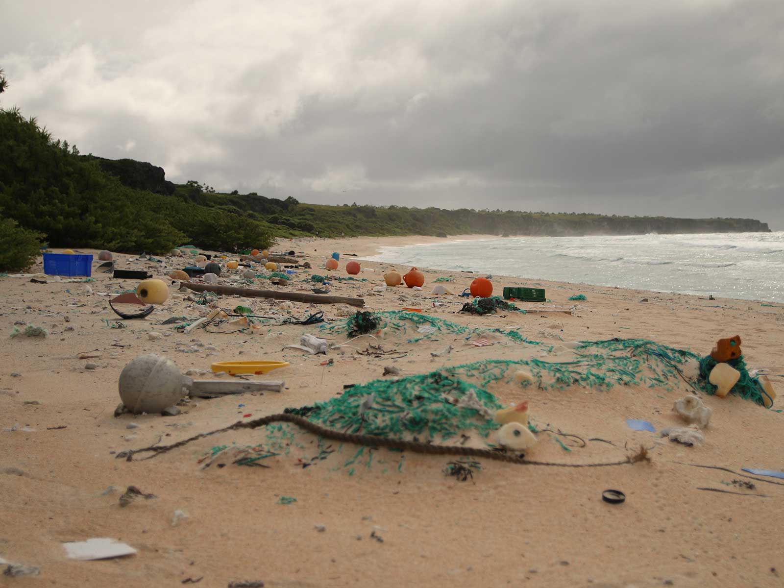 Plastics Make Beaches Hotter During the Day and Colder at Night | Science - Vimarsana News
