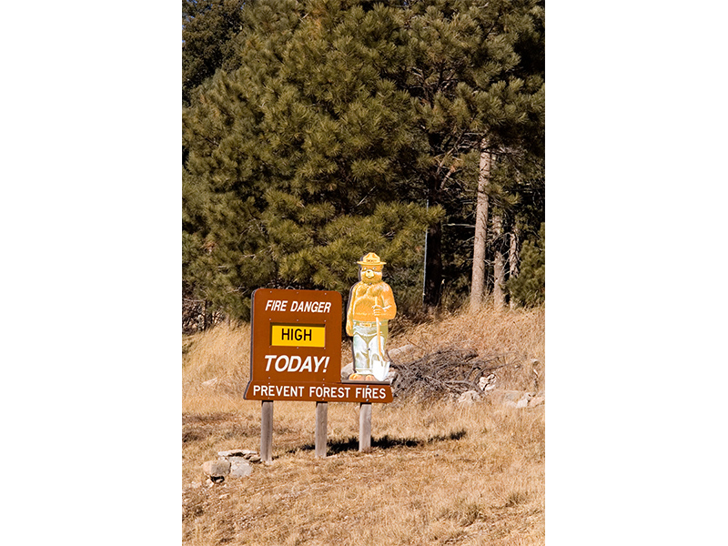 fire danger and Smokey sign