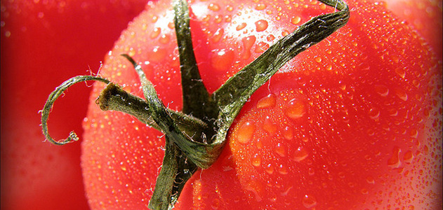 Why the Tomato Was Feared in Europe for More Than 200 Years | Arts & Culture - Vimarsana News
