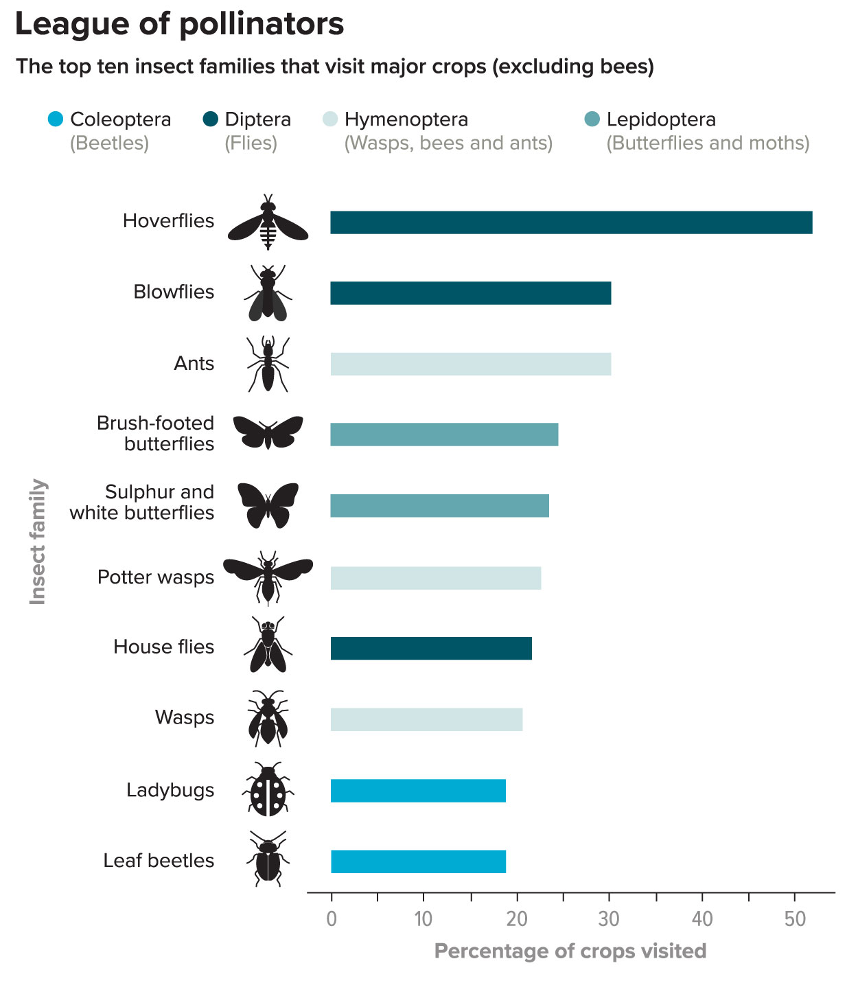Tornado Alley (PROG) How Much Do Flies Help With Pollination?...