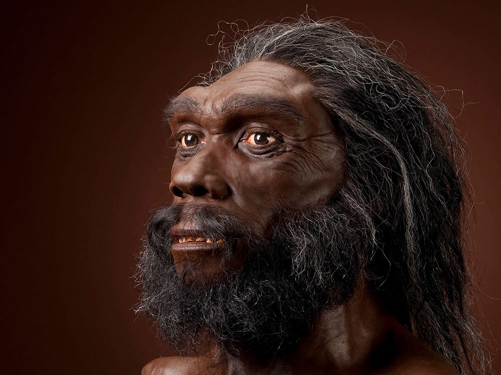 Homo heidelbergensis