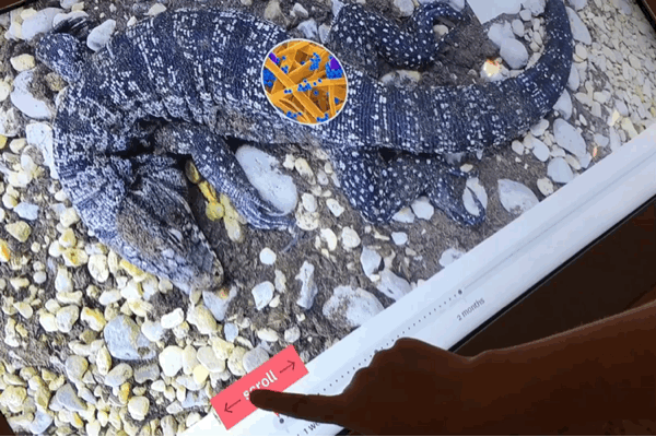Here Are 12 Things You Might Miss in the Smithsonian's New Fossil Hall