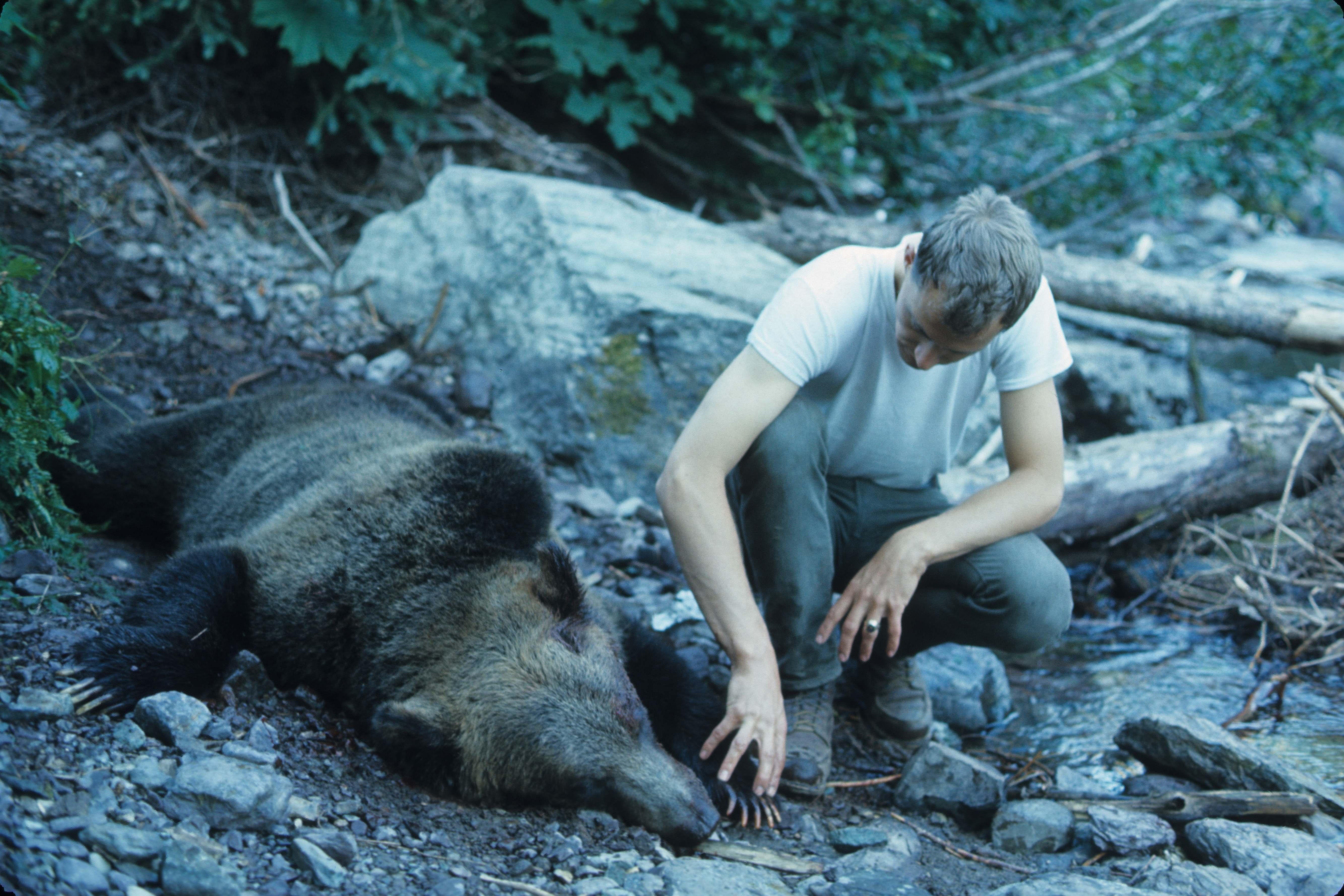 Ужасы про выезд на природу. Человек-Гризли 2005. Самый большой медведь Гризли людоед.