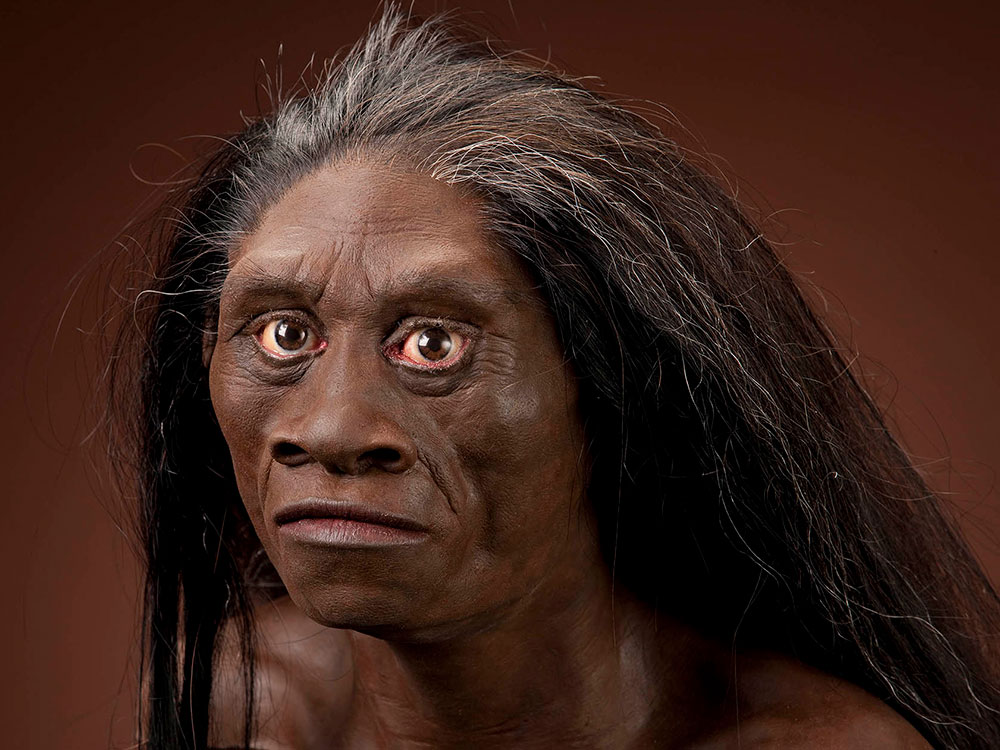 Homo floresiensis