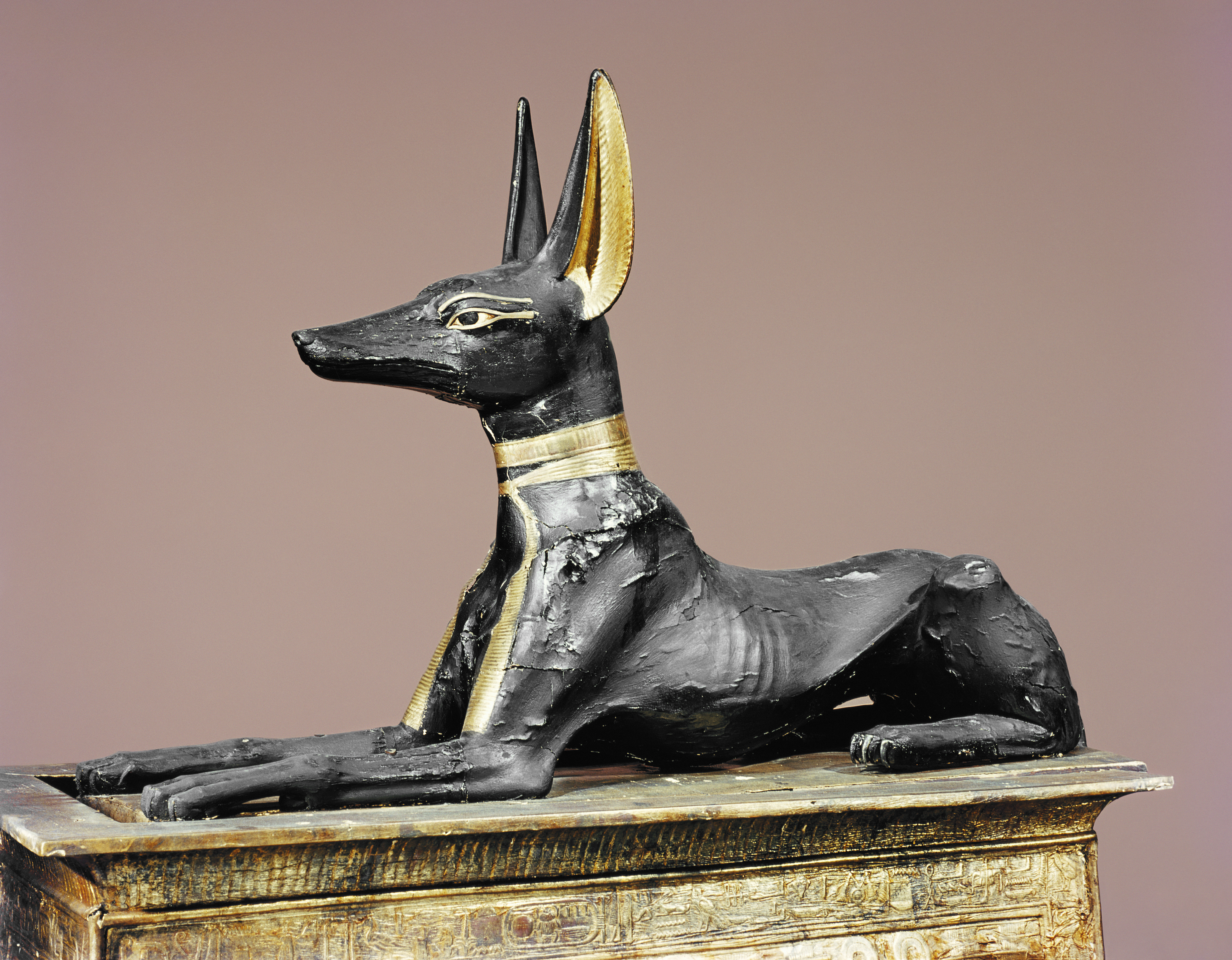 египет собака