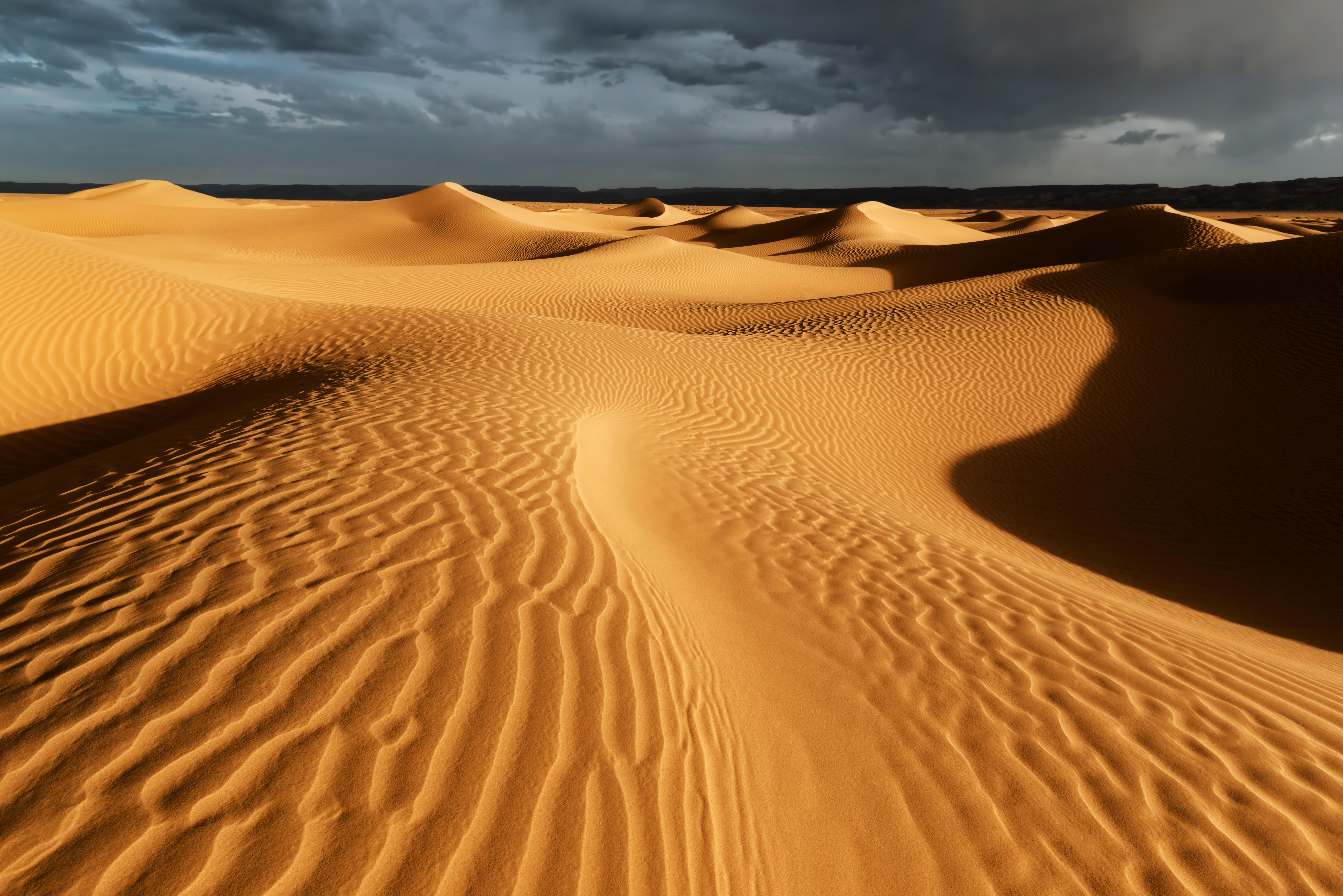 Desert Safari