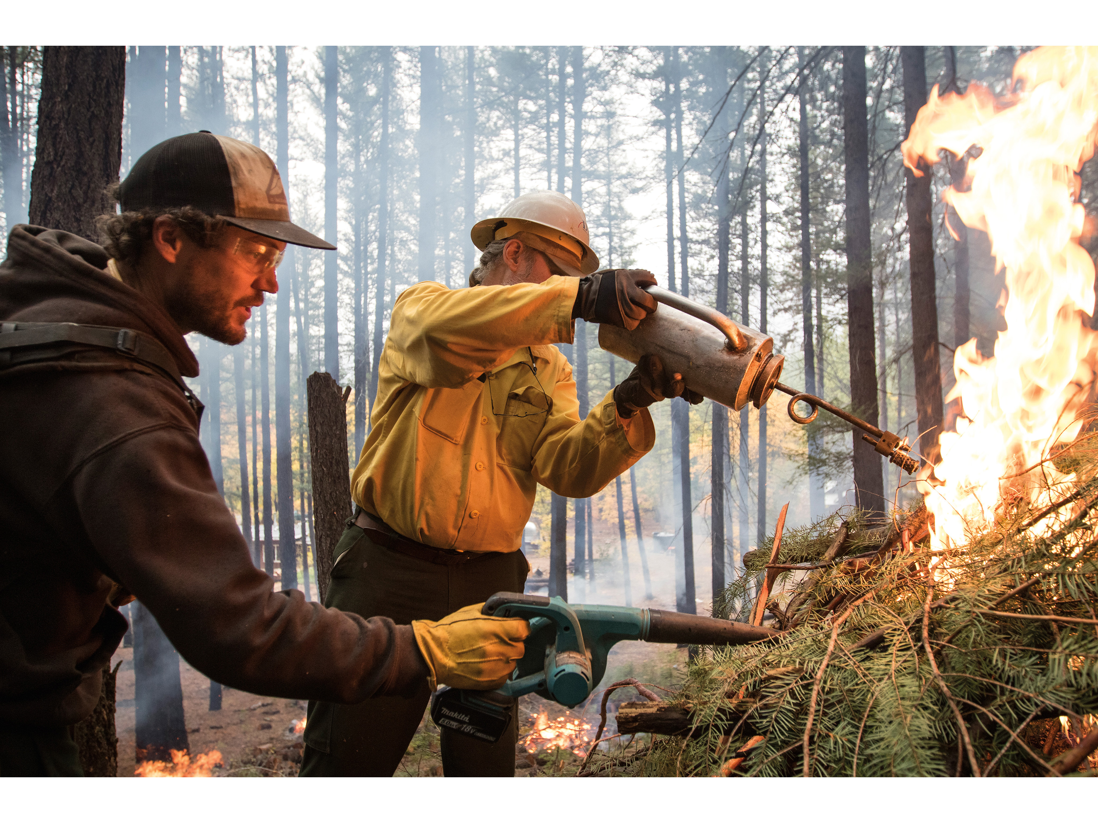 Fighting Fire With Fire in California | Science | Smithsonian Magazine - Vimarsana News
