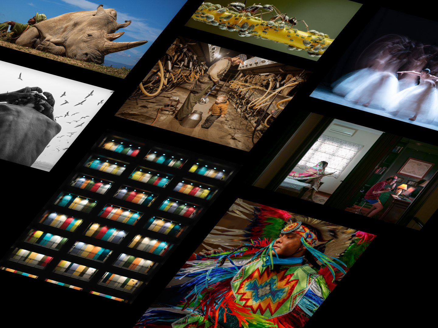 These Are the Winners of Smithsonian Magazine's 19th Annual Photo Contest | Arts & Culture - Vimarsana News