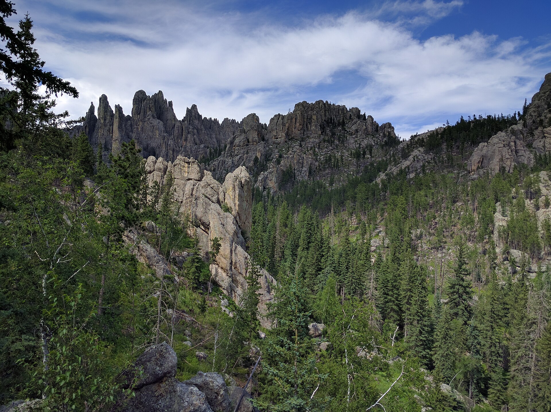 View of the Black Hills