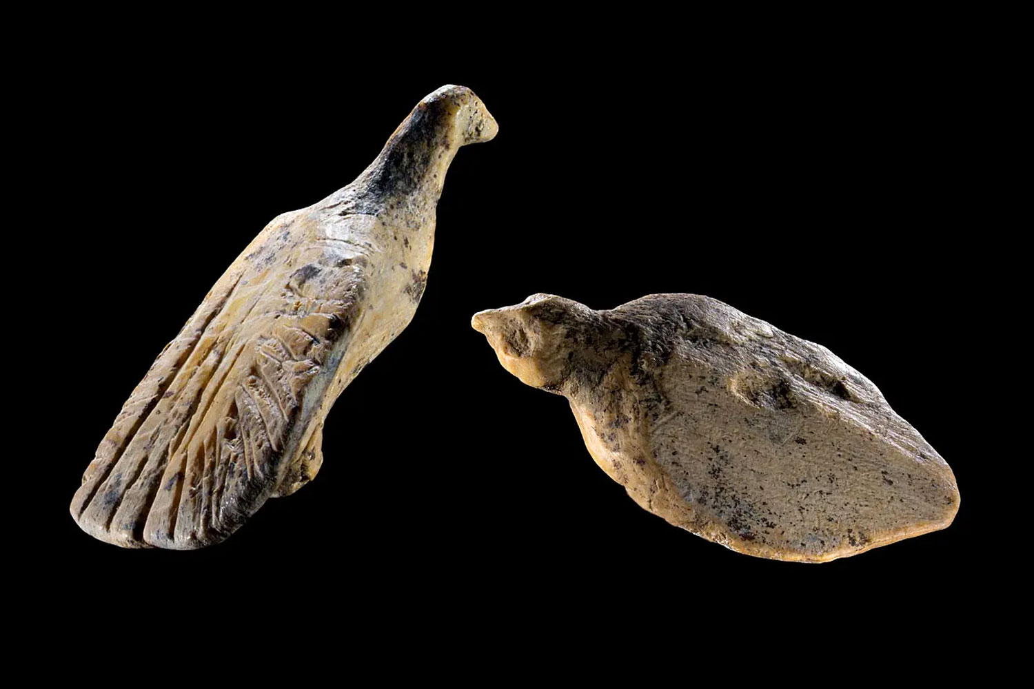 Archaeologists Uncover 40,000-Year-Old Bird Sculptures Carved From Mammoth Ivory