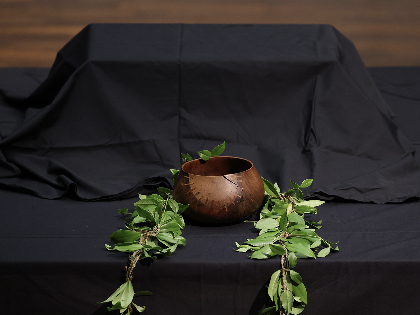 Germany, Austria Repatriate Dozens of Human Skulls to Hawaii | History - Vimarsana News