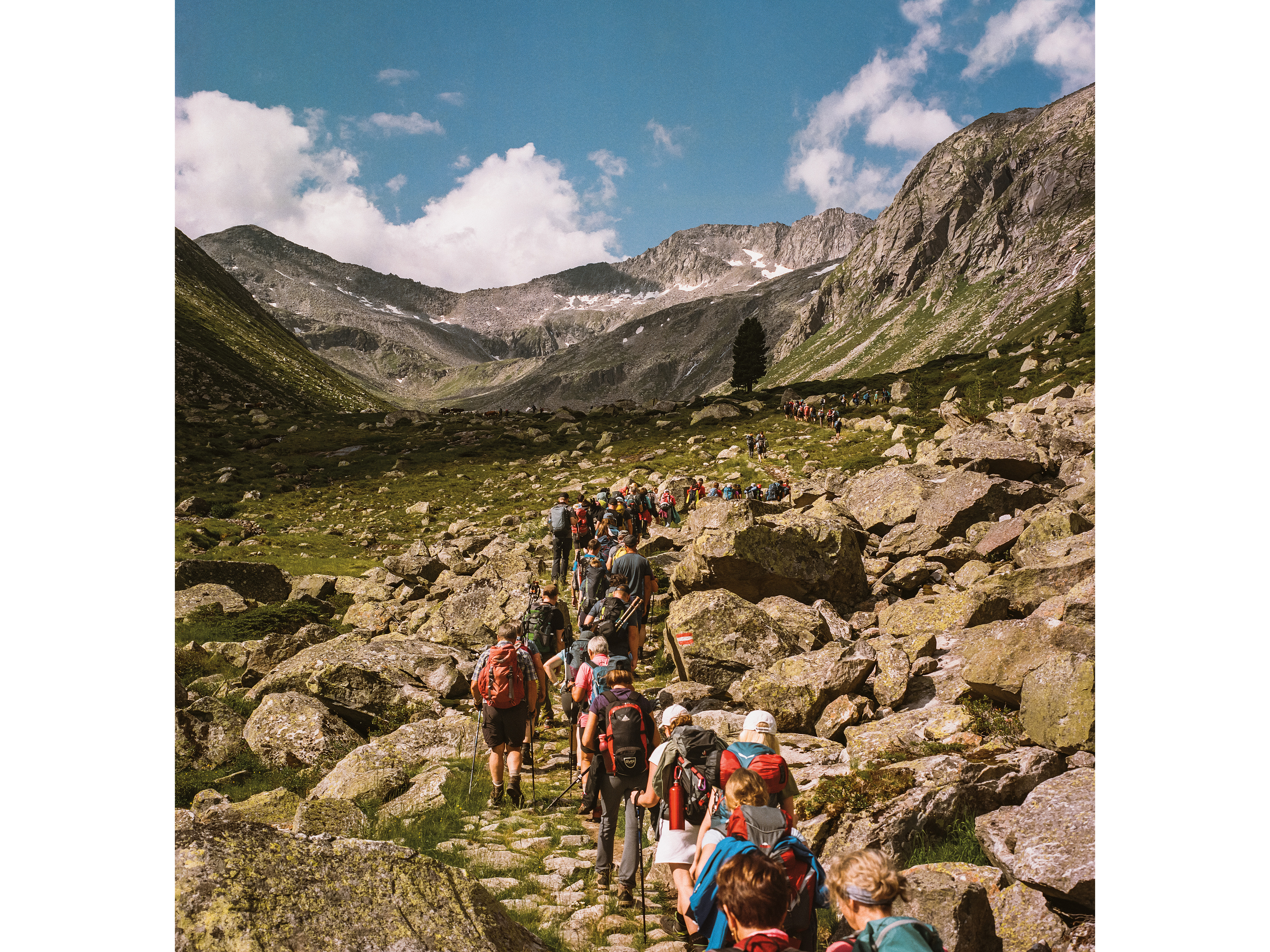 You Can Retrace the Footsteps Jewish Refugees Took on a Hike Through the Alps | Travel - Vimarsana News