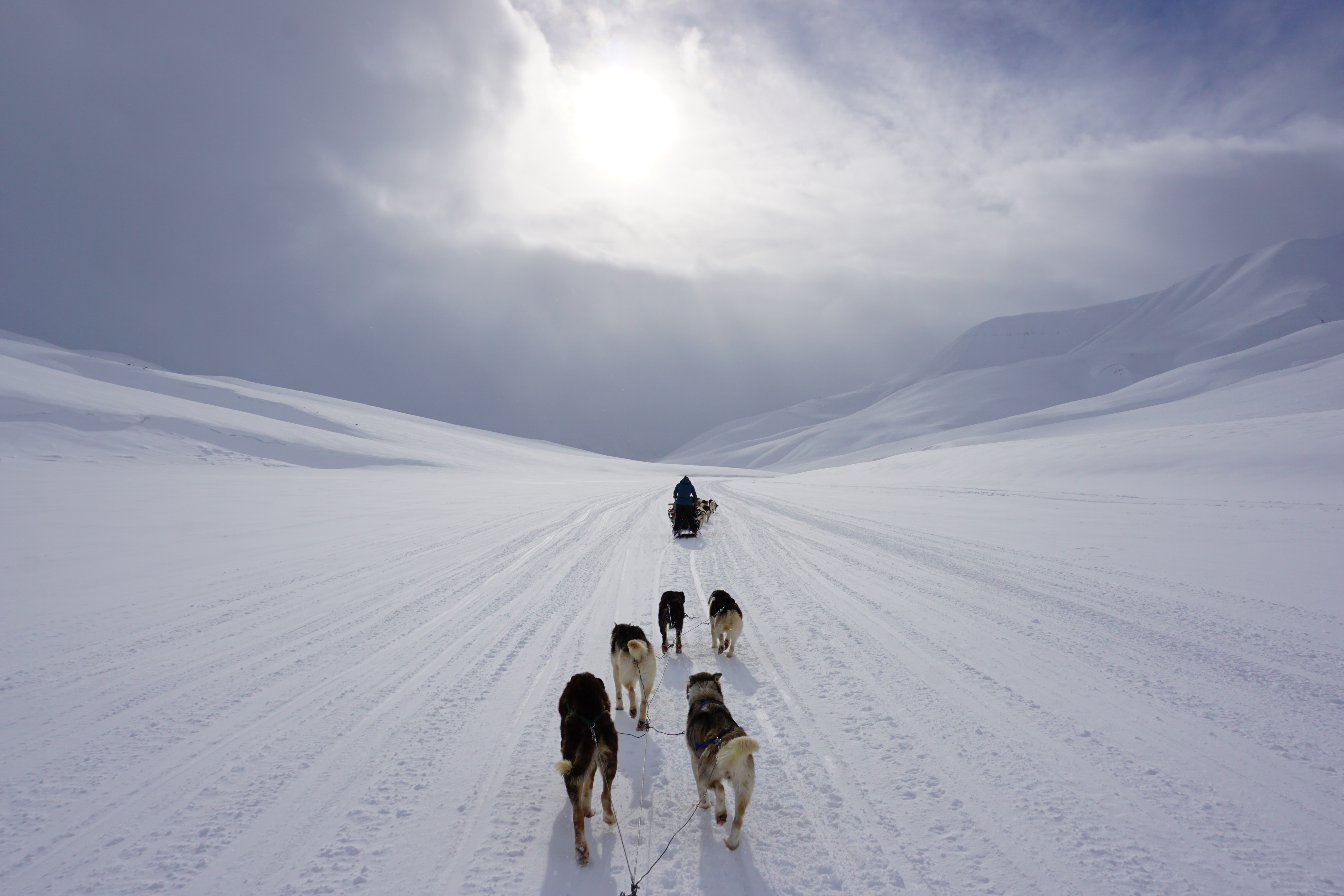 12 - This seems like the sort of area where it might be difficult for your cellphone to pick up a signal for use of your GPS. Hopefully, the dogs know where they’re going in this vast valley of snow.