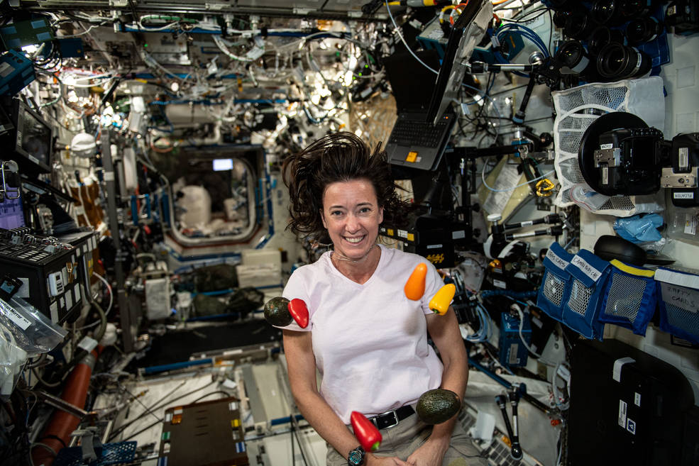 From an Electric Cow to Space Bread, NASA Announces First Round Winners of Deep Space Food Challenge | Smart News - Vimarsana News