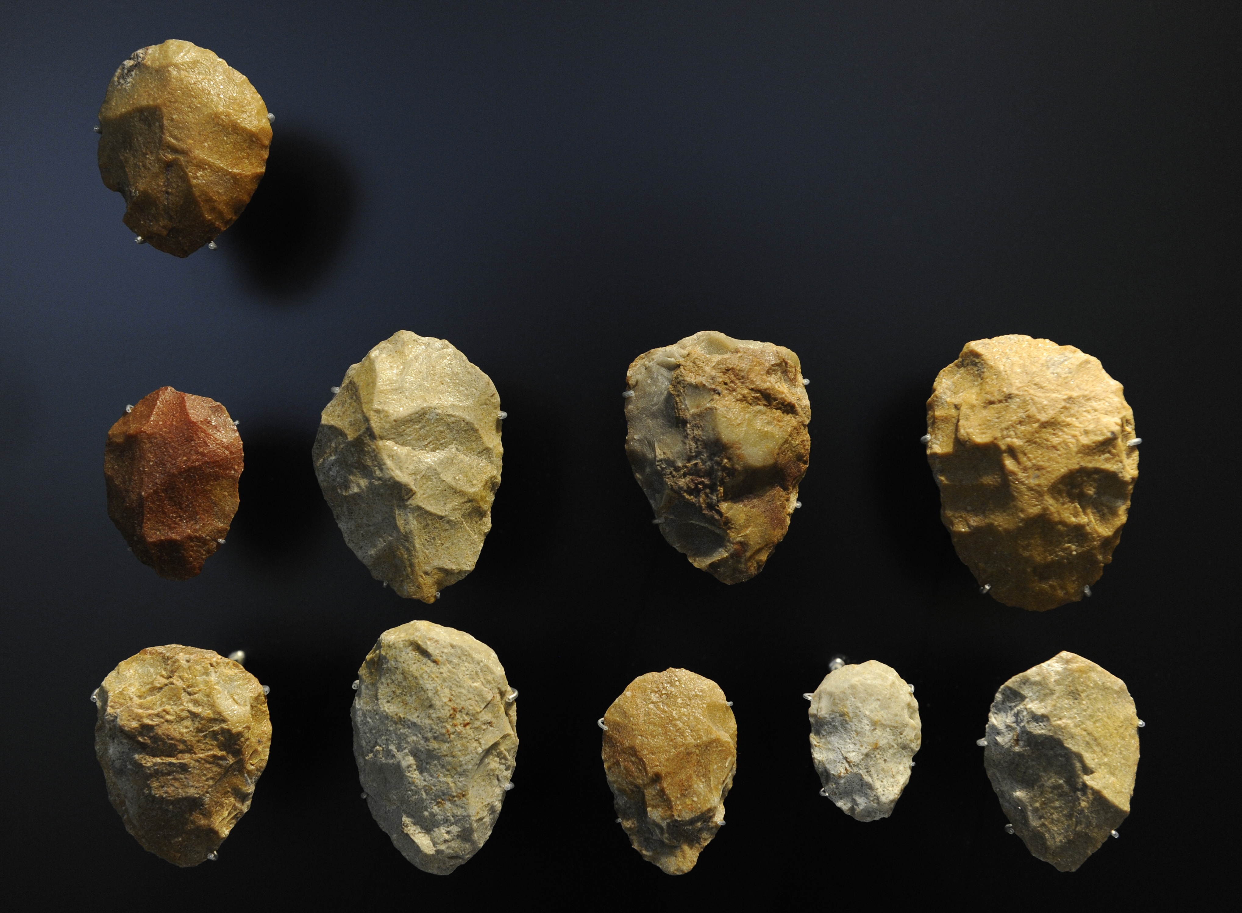 Neanderthals and Modern Humans May Have Shared Ideas for Tools | Smart News - Vimarsana News