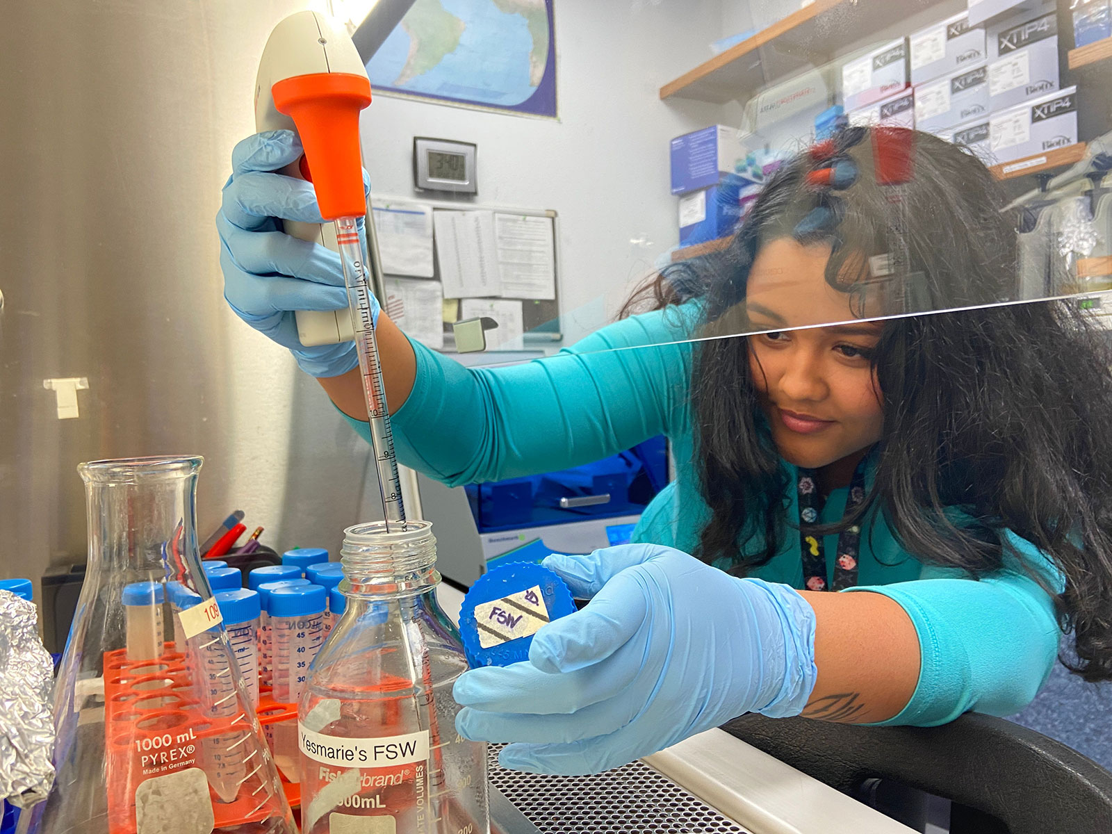 Probiotics May Help Corals Fight a Dangerous Disease Off Florida's Coast | Science - Vimarsana News