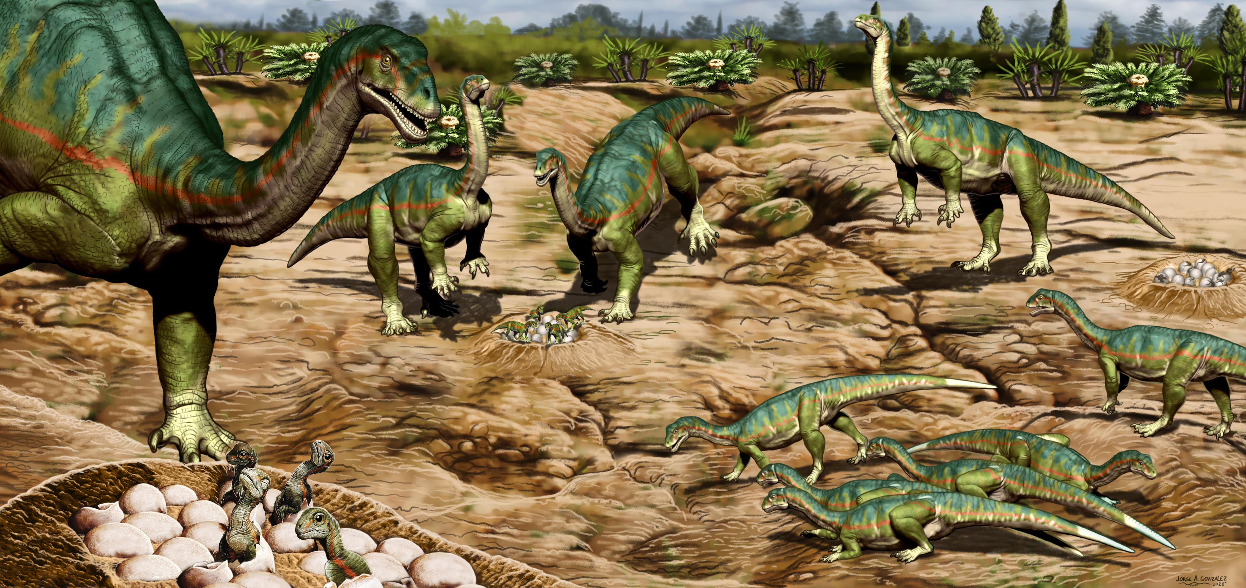 Paleontologists Unearth the Oldest Evidence of Herd Behavior in Dinosaurs | Smart News - Vimarsana News