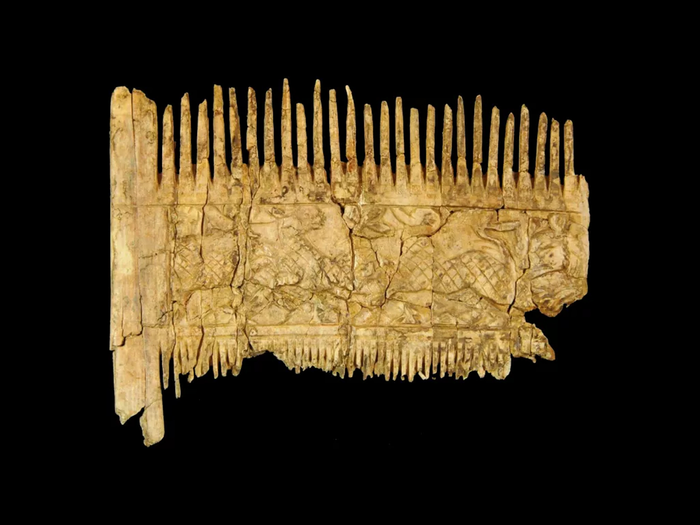 1,500-Year-Old Ivory Beard Comb Found in Grave in Germany | Smart News - Vimarsana News