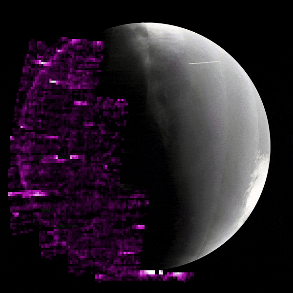 Purple squares illustrate auroras on Mars, as detected by NASA&rsquo;s MAVEN orbiter between May 14 and May 20. The brighter the purple, the more auroras present.