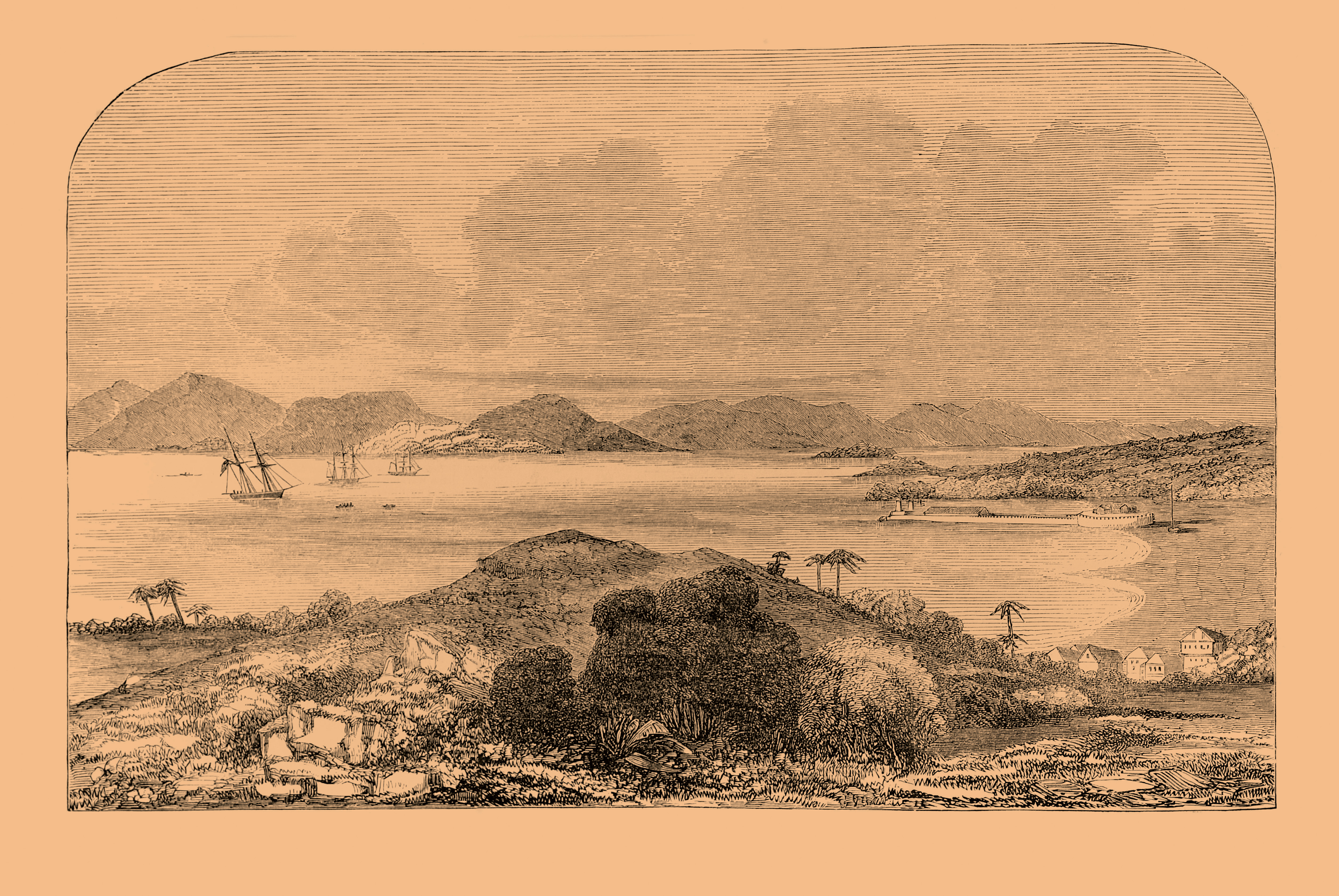 A New Discovery Puts Panama as the Site of the First Successful Slave Rebellion | History - Vimarsana News