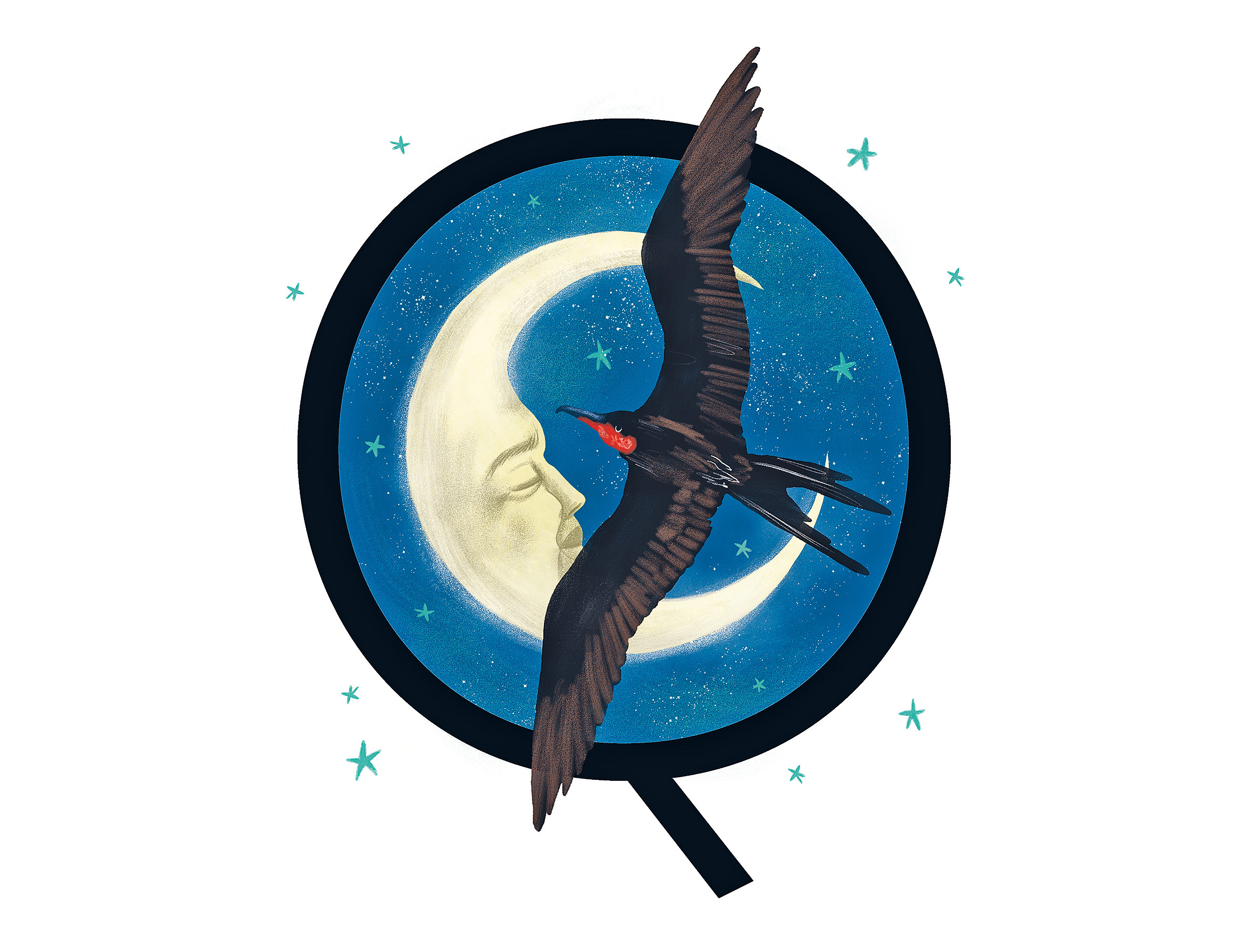 How Do Birds Stay Upright When They Are Sleeping? | At the Smithsonian - Vimarsana News