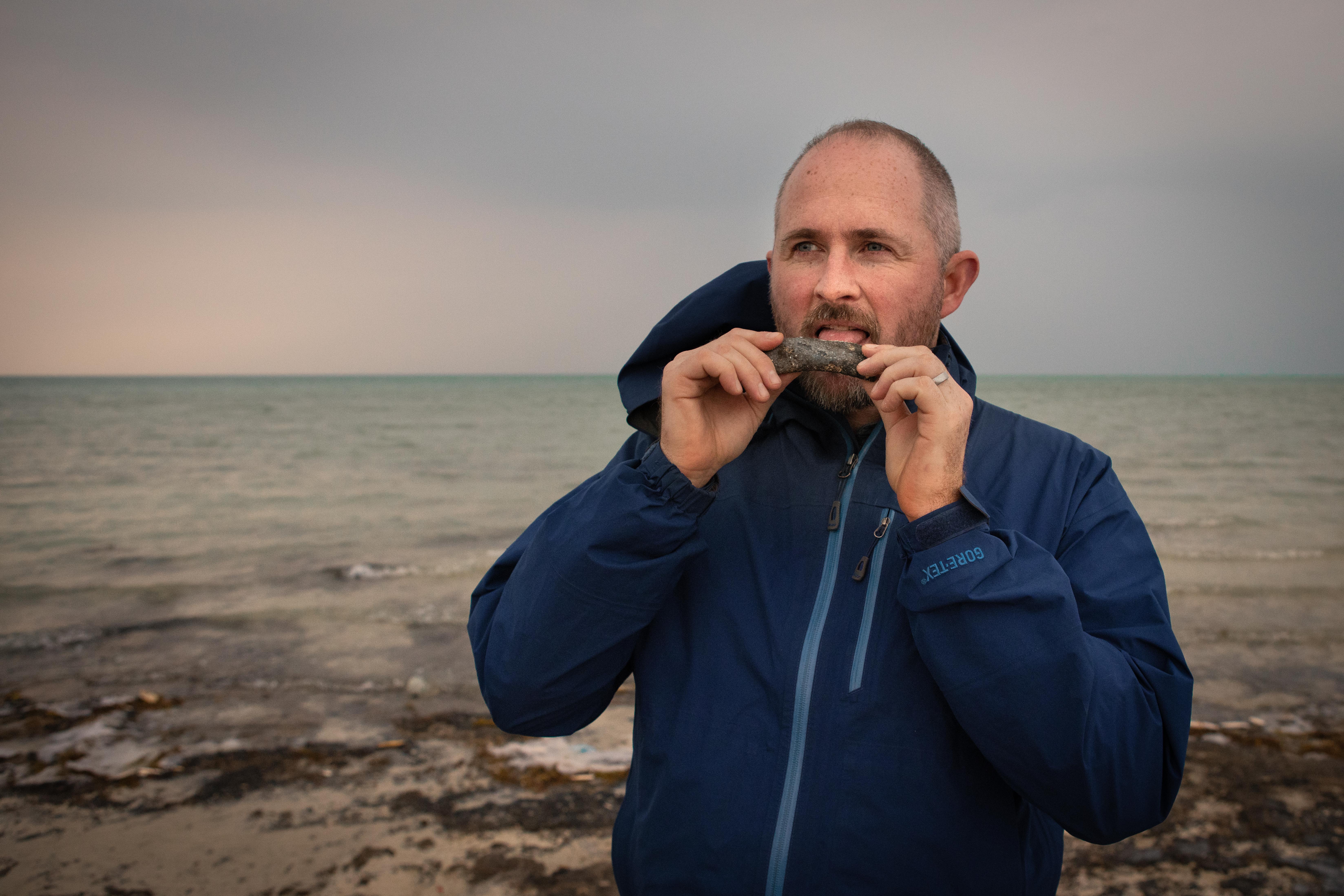 How long have sea cows thrived in the Arabian Gulf? We literally stumbled on a clue. | Smithsonian Voices - Vimarsana News