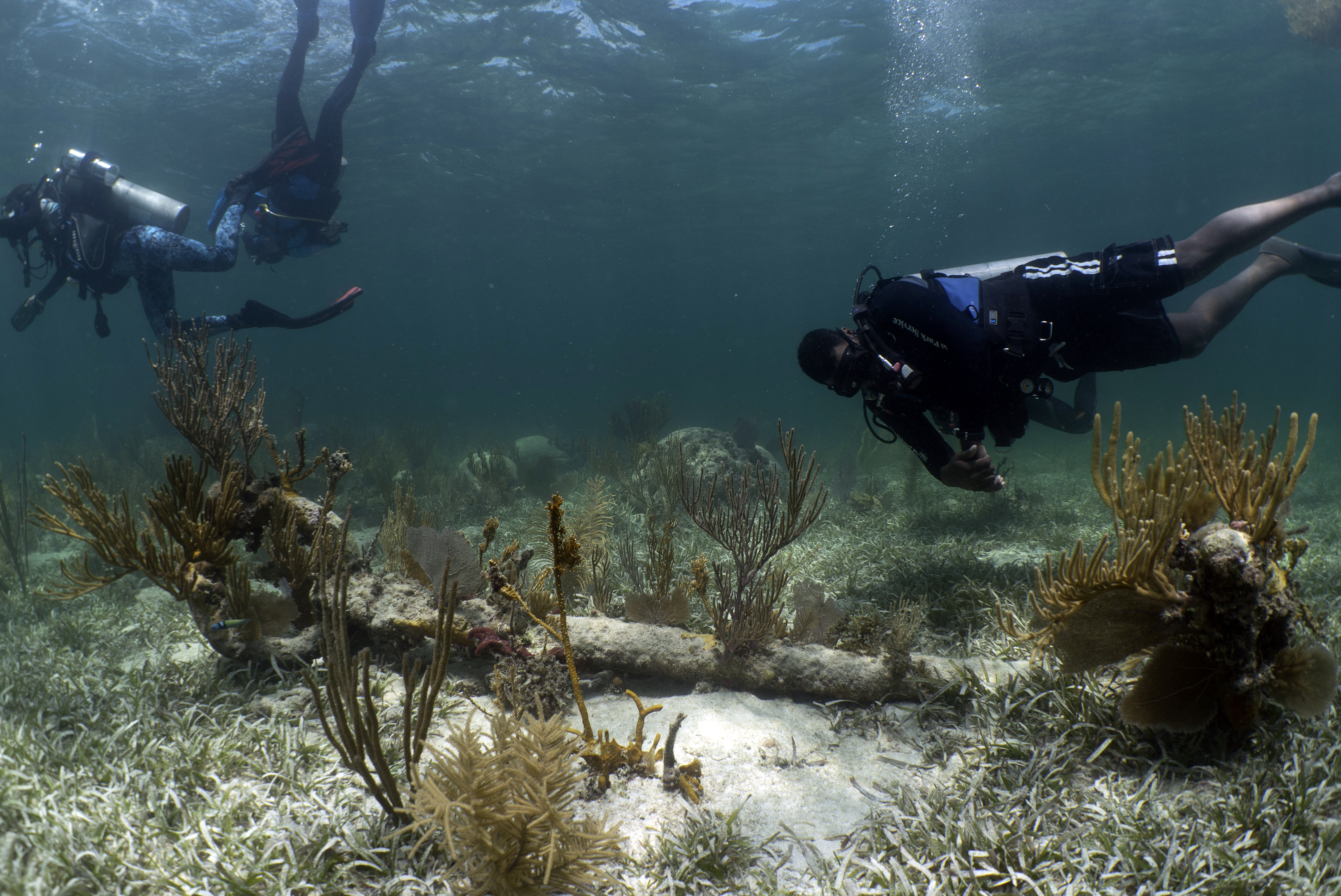 What a Spanish Shipwreck Reveals About the Final Years of the Slave Trade | History - Vimarsana News