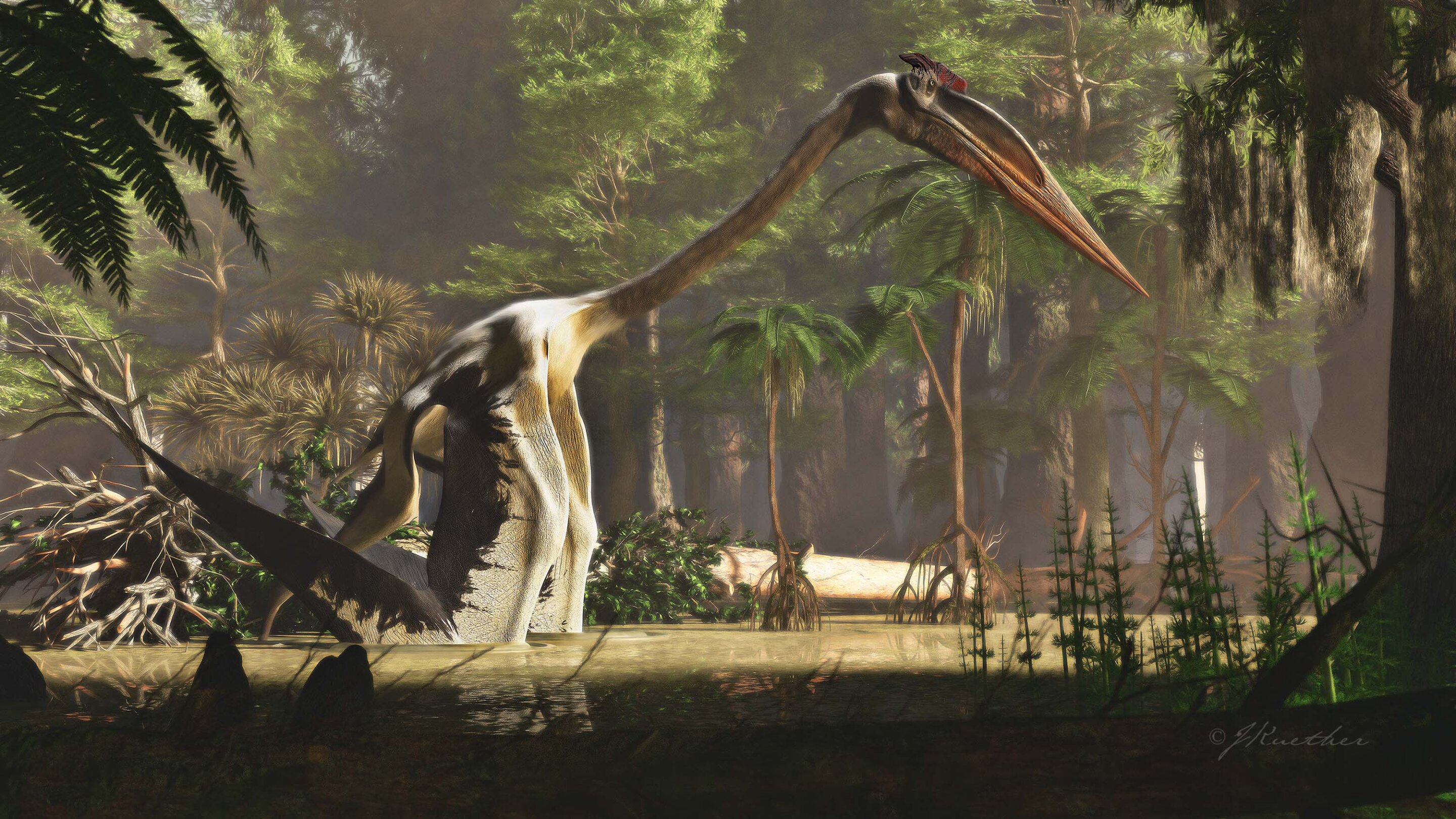 This Giraffe-Sized Reptile Was the Largest Flying Creature to Ever Live | Smart News - Vimarsana News