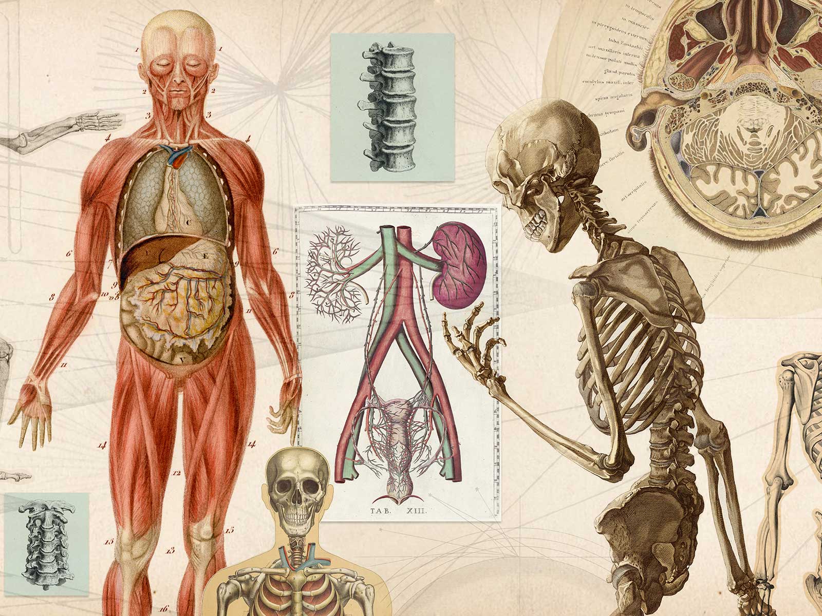  - Vimarsana News