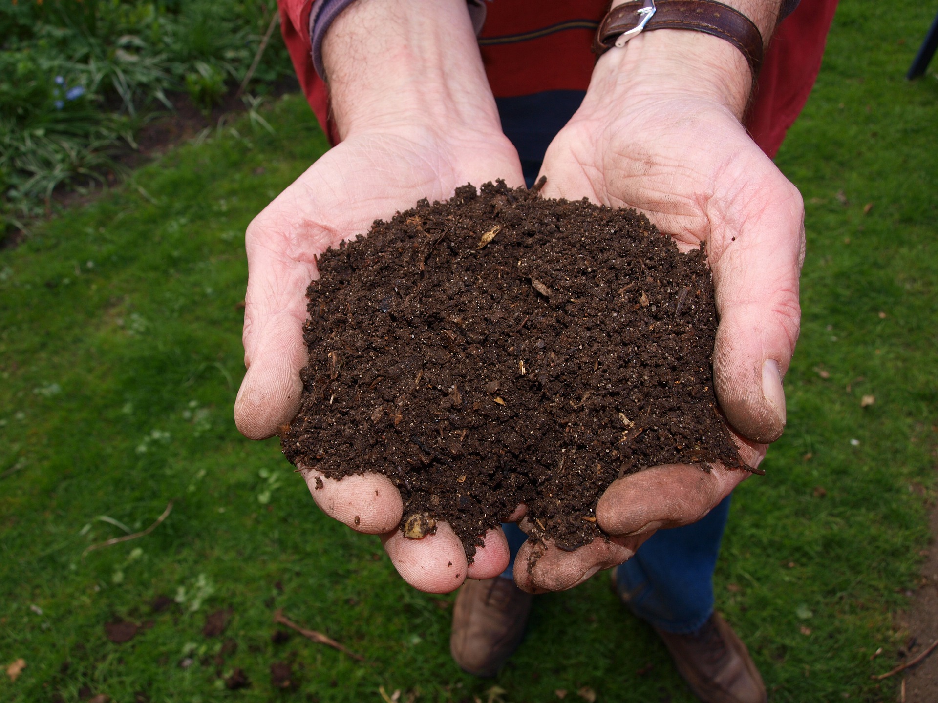 California Has Legalized Human Composting | Smart News - Vimarsana News