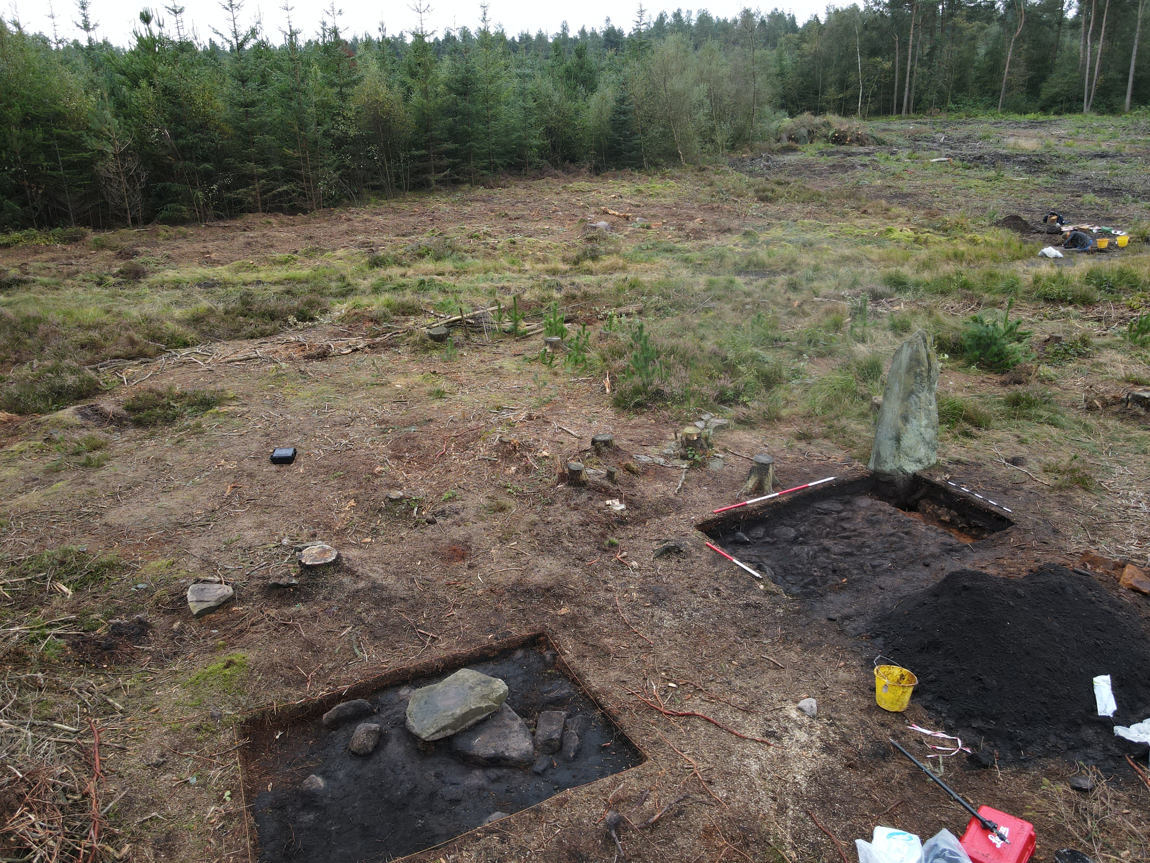 Overview of archaeology site with grass and trees
