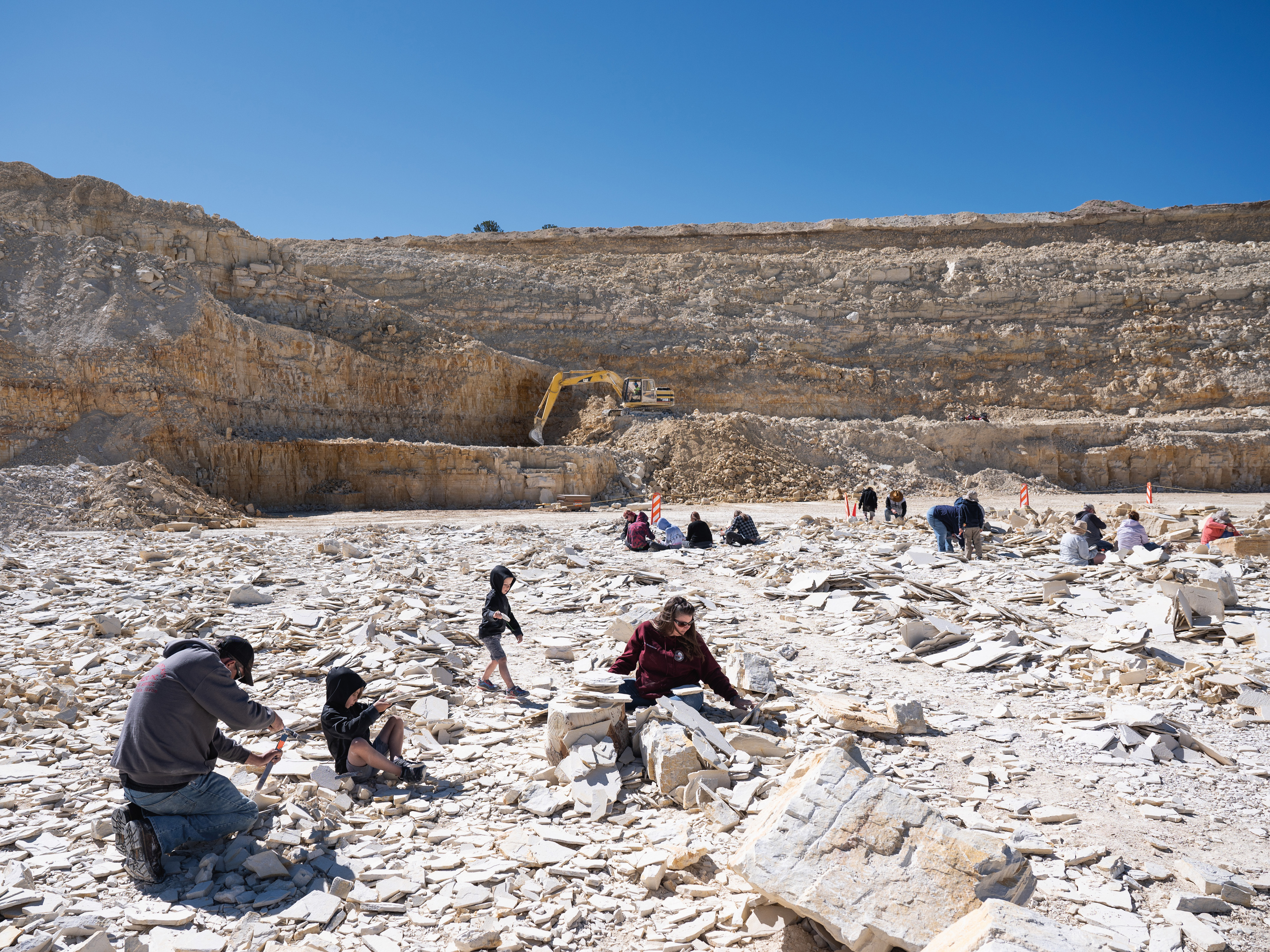 The 50 Million-Year-Old Treasures of Fossil Lake | Travel - Vimarsana News