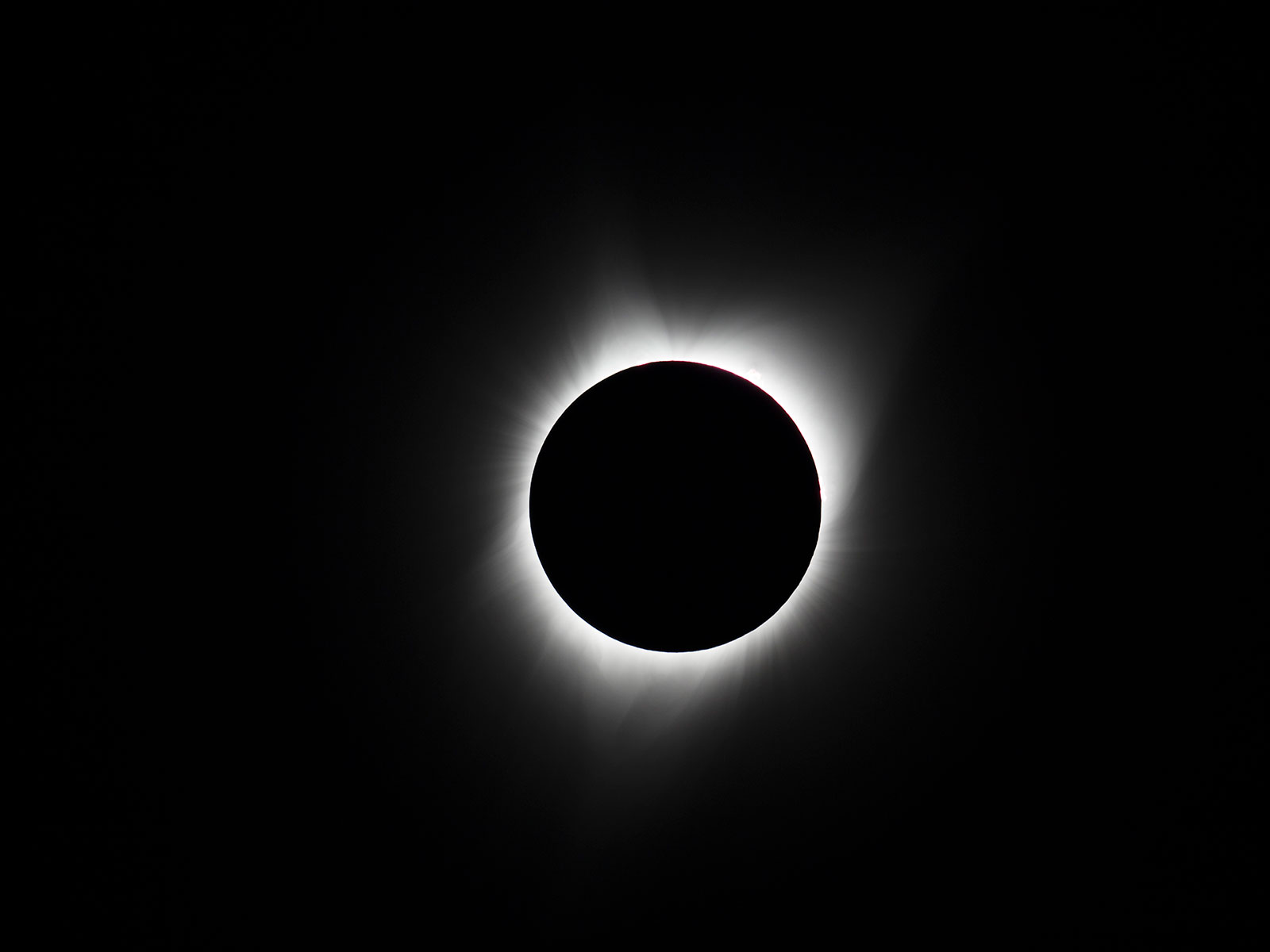 Everything You Need to Know About the 2024 Total Solar Eclipse | Science - Vimarsana News
