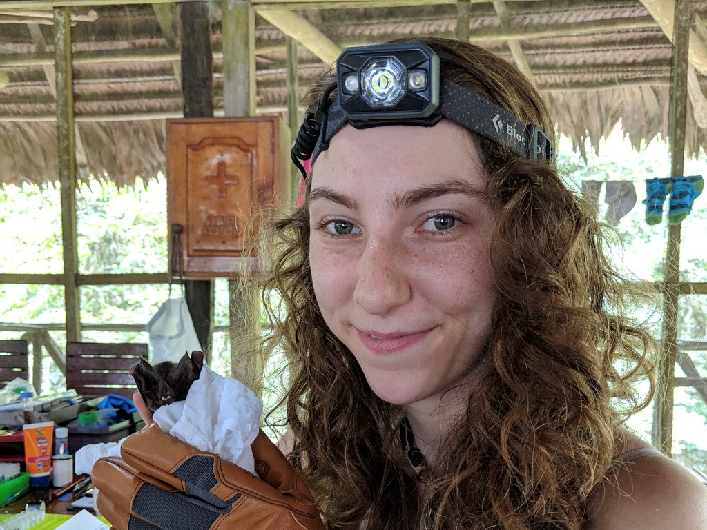 Get To Know the Biologist Who Identifies Bats by the Color of Their Poop - Vimarsana News