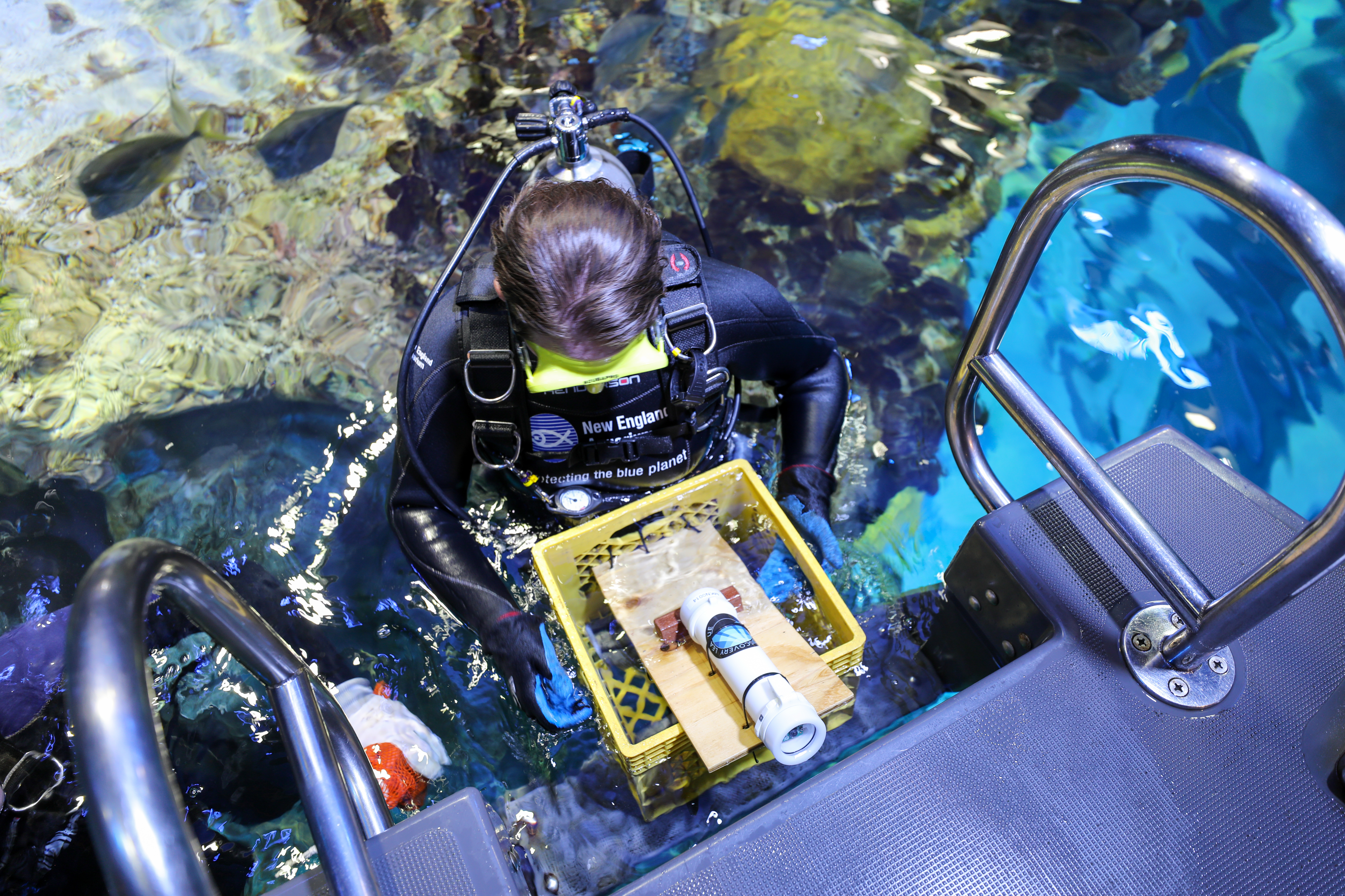 This Low-Cost Device Could Make the Deep Sea Accessible to Everyone | Innovation - Vimarsana News