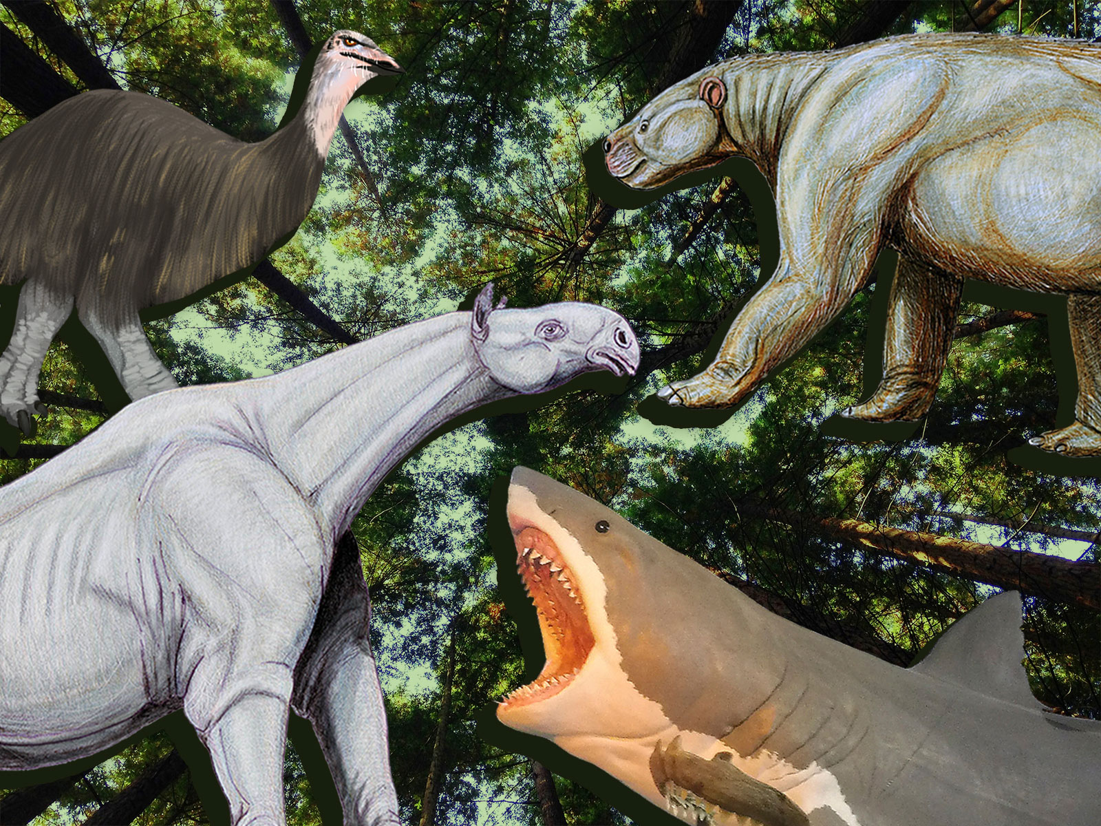 After Dinosaurs Went Extinct, These Ten Giant Creatures Roamed the Earth | Science - Vimarsana News