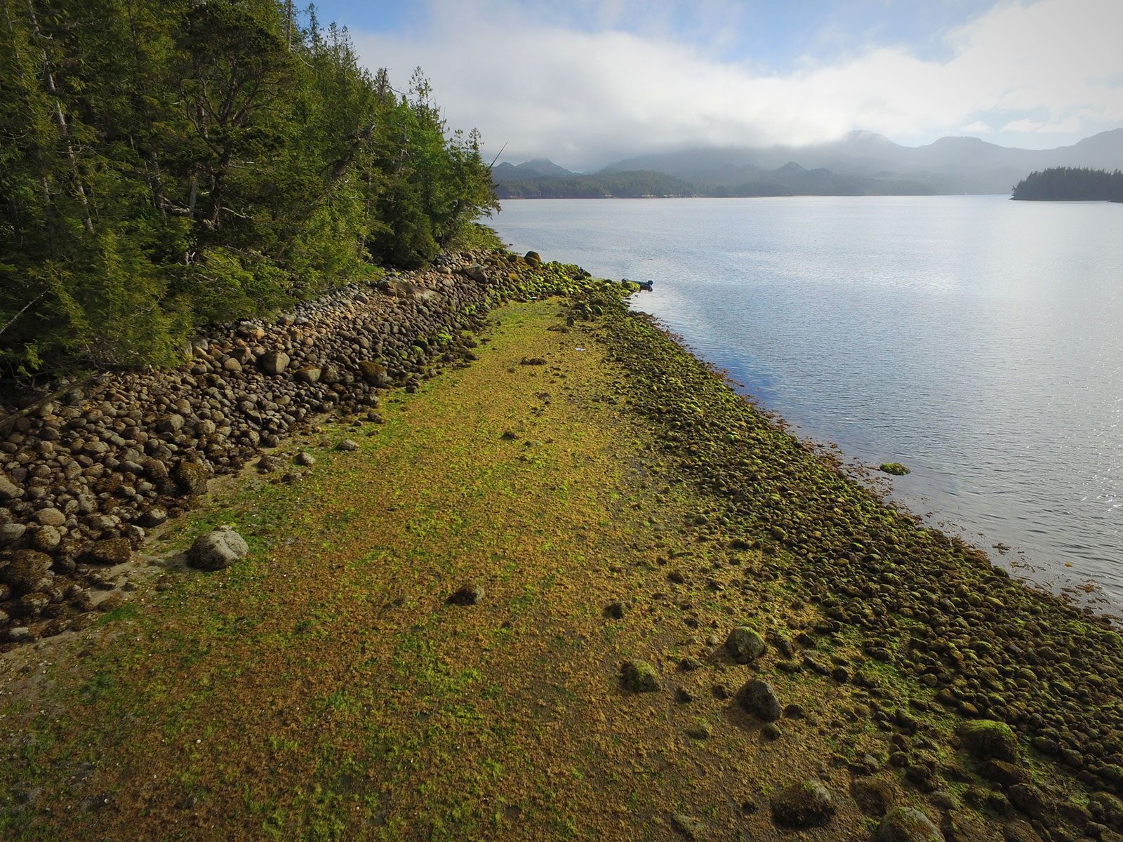 How Indigenous Sea Gardens Produced Massive Amounts of Food for Millennia | Science - Vimarsana News
