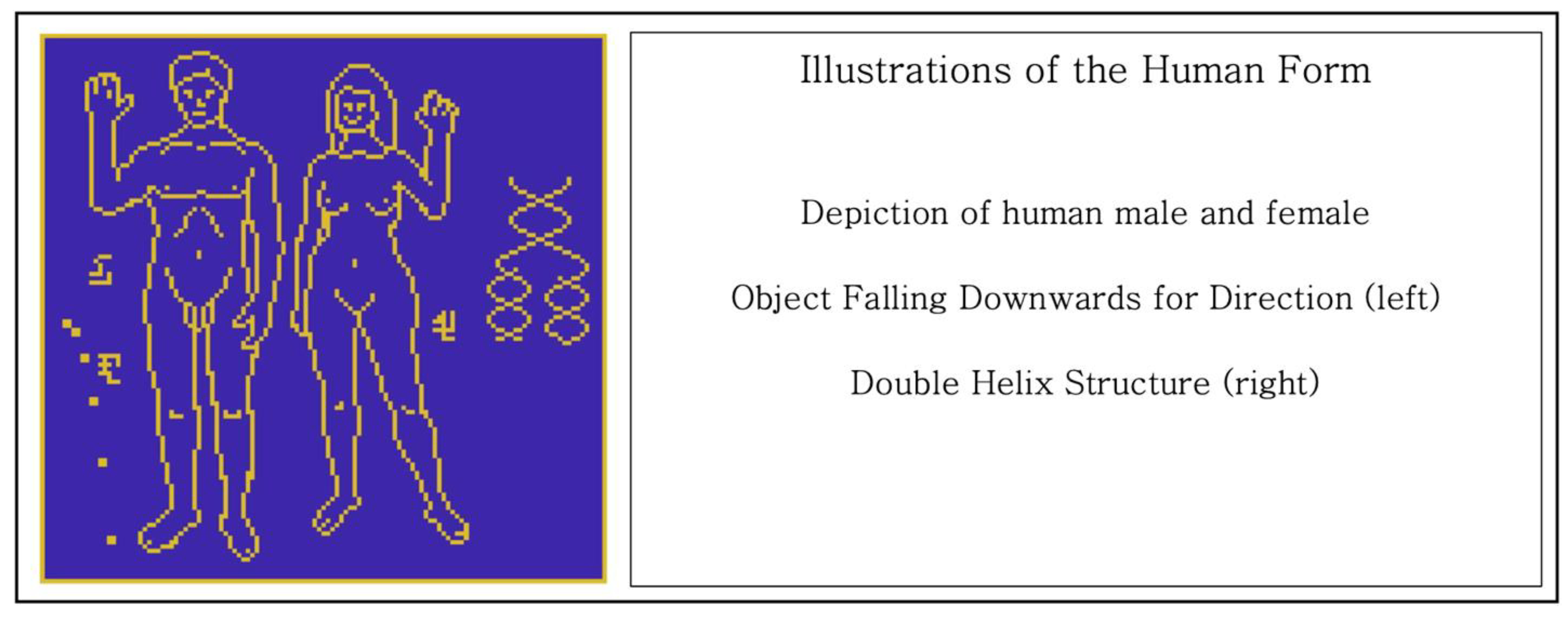 Pictorial representation of humans and DNA