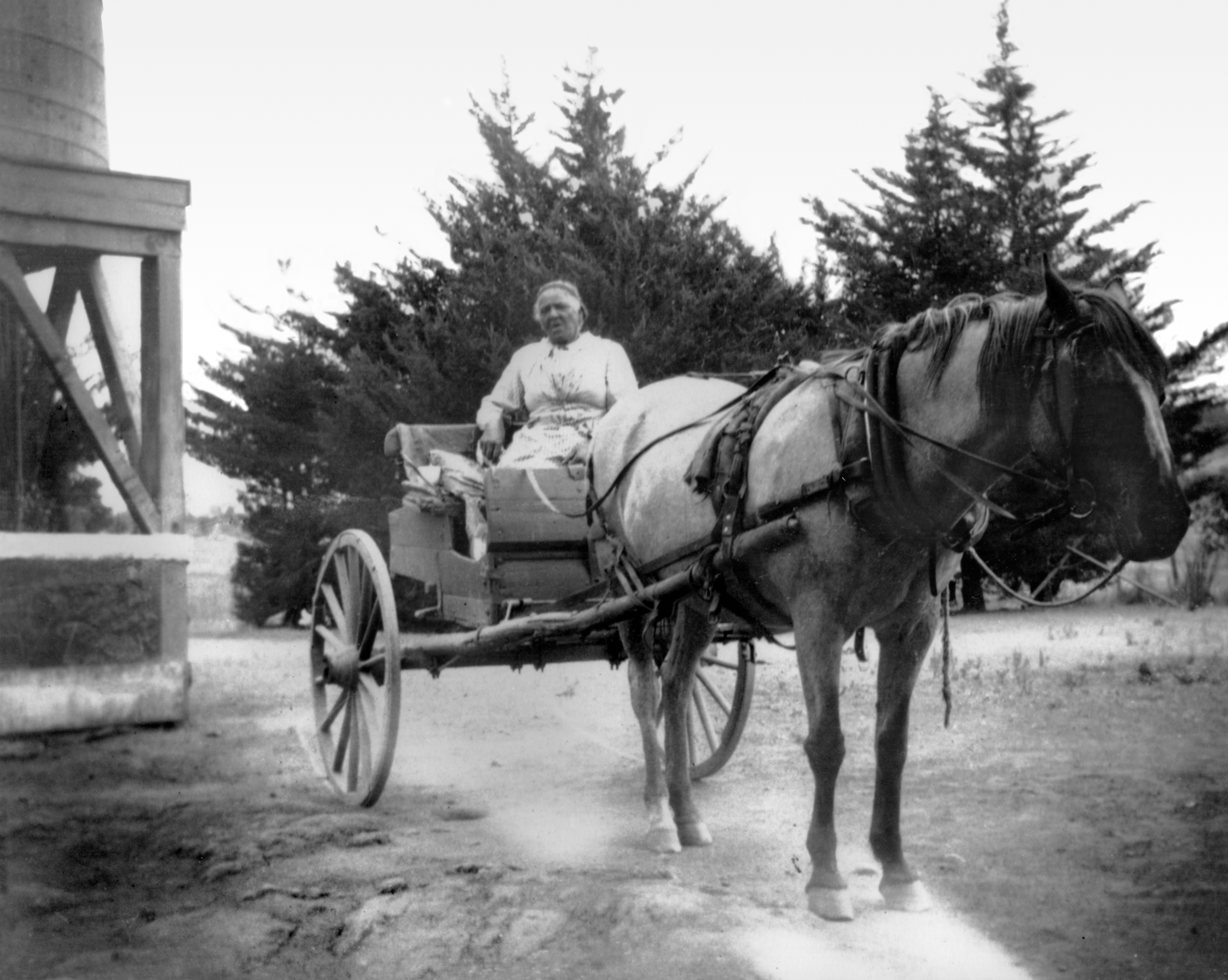 The Trailblazing Black Entrepreneurs Who Shaped a 19th-Century California Boomtown | History - Vimarsana News