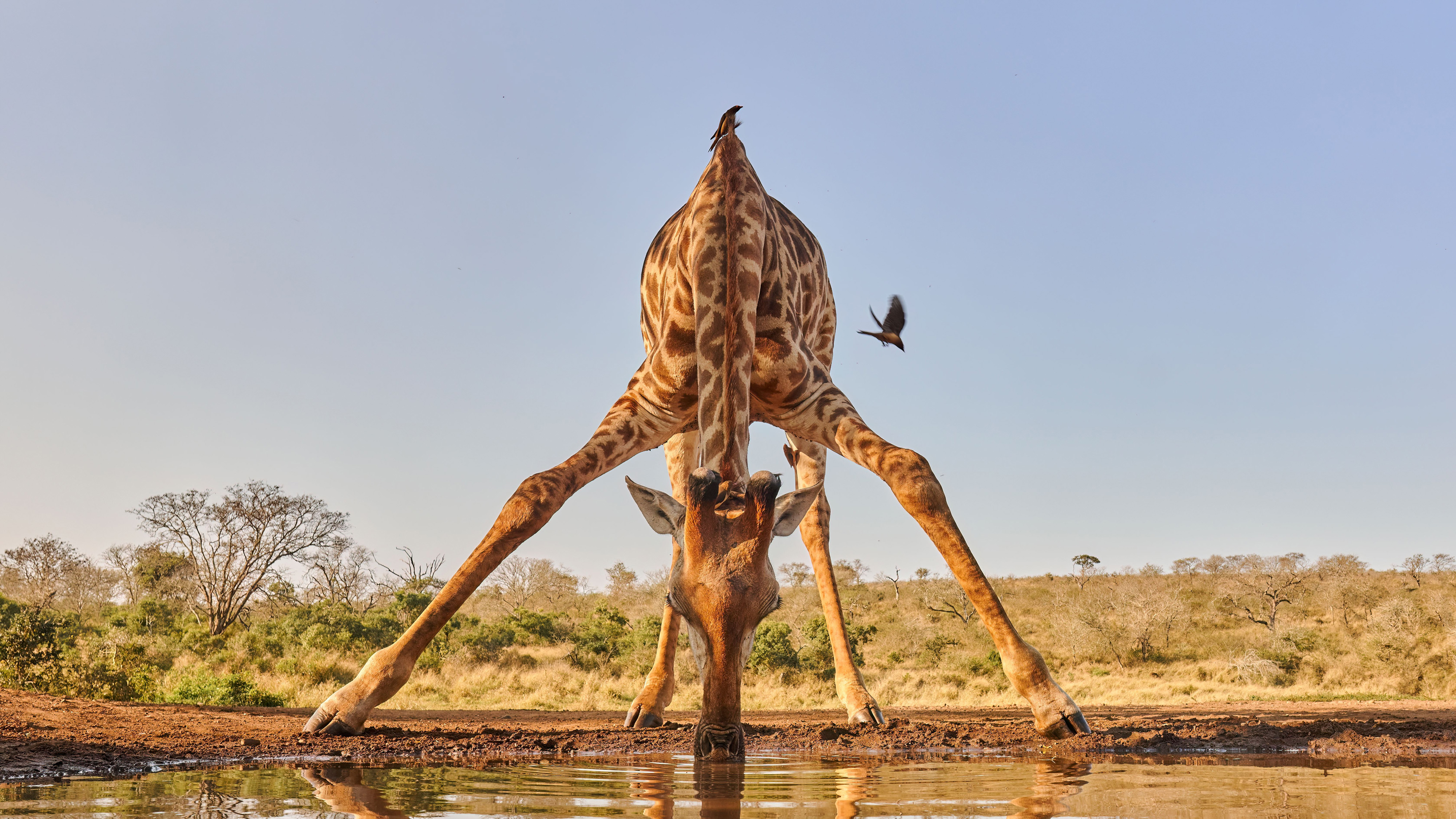 View 16 Breathtaking Images From The Nature Conservancy's Annual Photo Contest | Smart News - Vimarsana News
