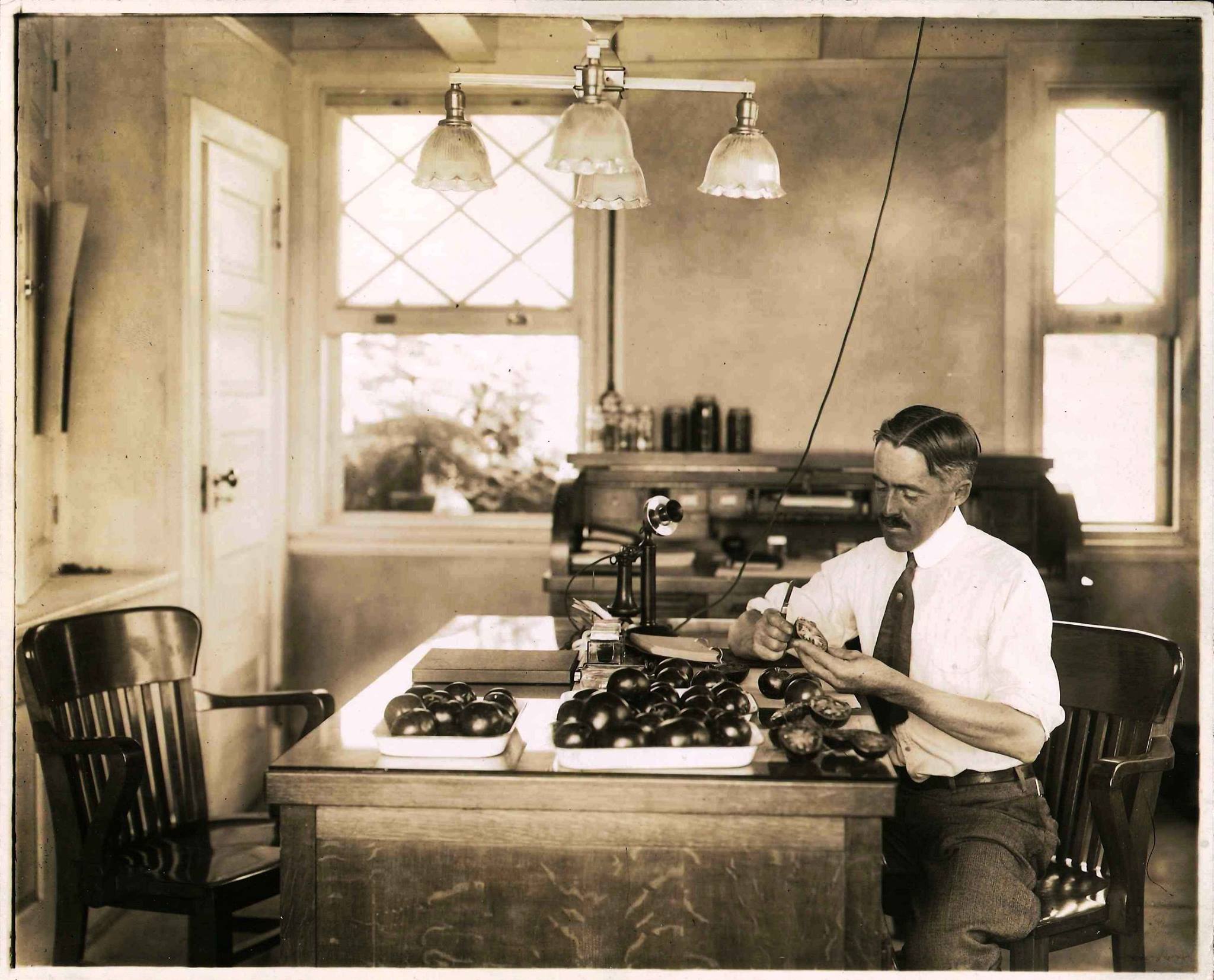 How Campbell Soup Turned New Jersey Into a Tomato-Growing State | Innovation - Vimarsana News
