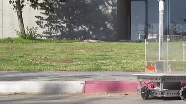 A gif image of a fish navigating a tank on wheels
