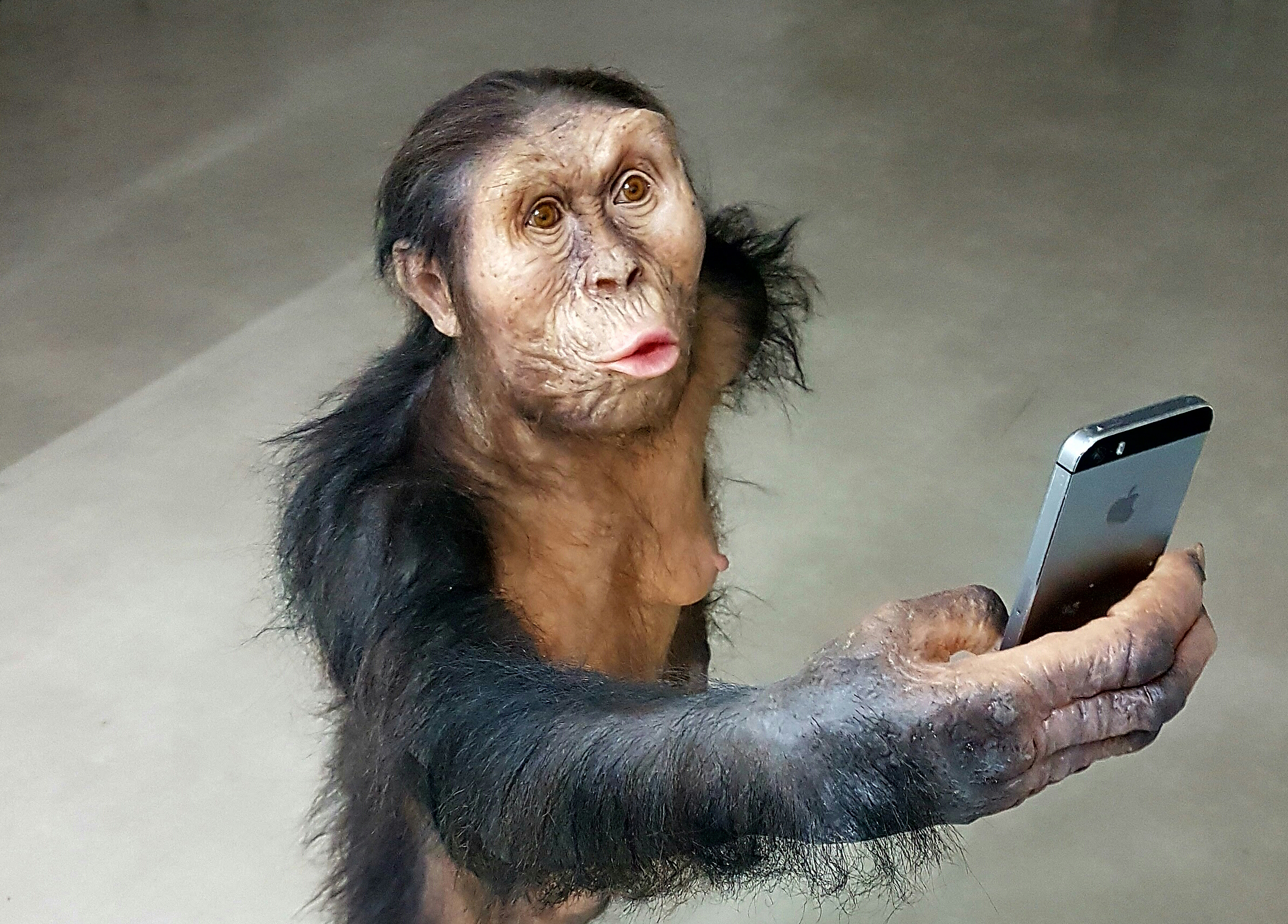 Lucy's Legacy: Celebrating the 48th Anniversary of Her Discovery with a Selfie | Smithsonian Voices | National Museum of Natural History Smithsonian Magazine - Vimarsana News
