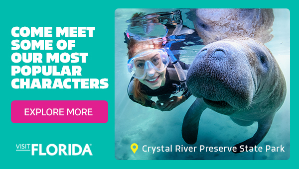 Visit Florida 600x340
