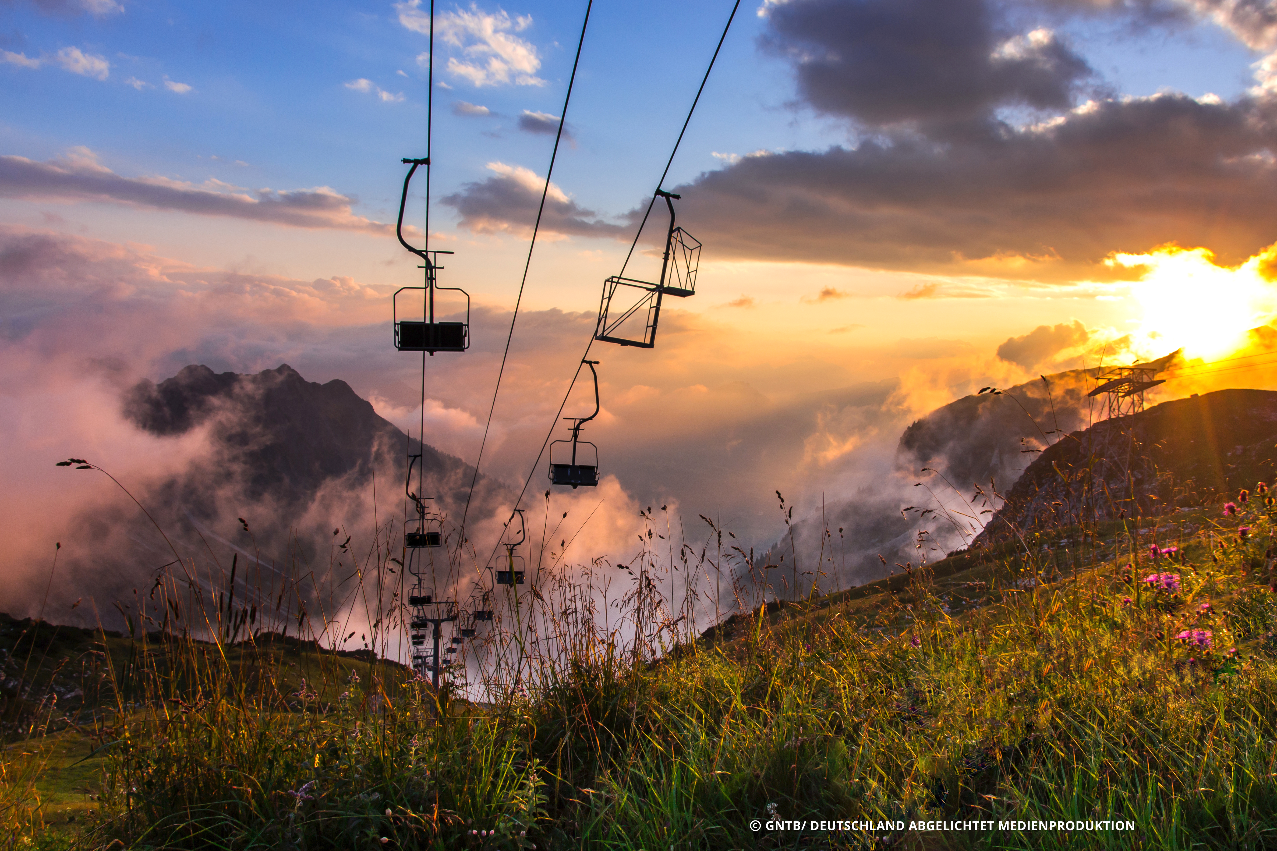 If Germany's Nature Could Speak, This Is What It Might Say | Sponsored - Vimarsana News