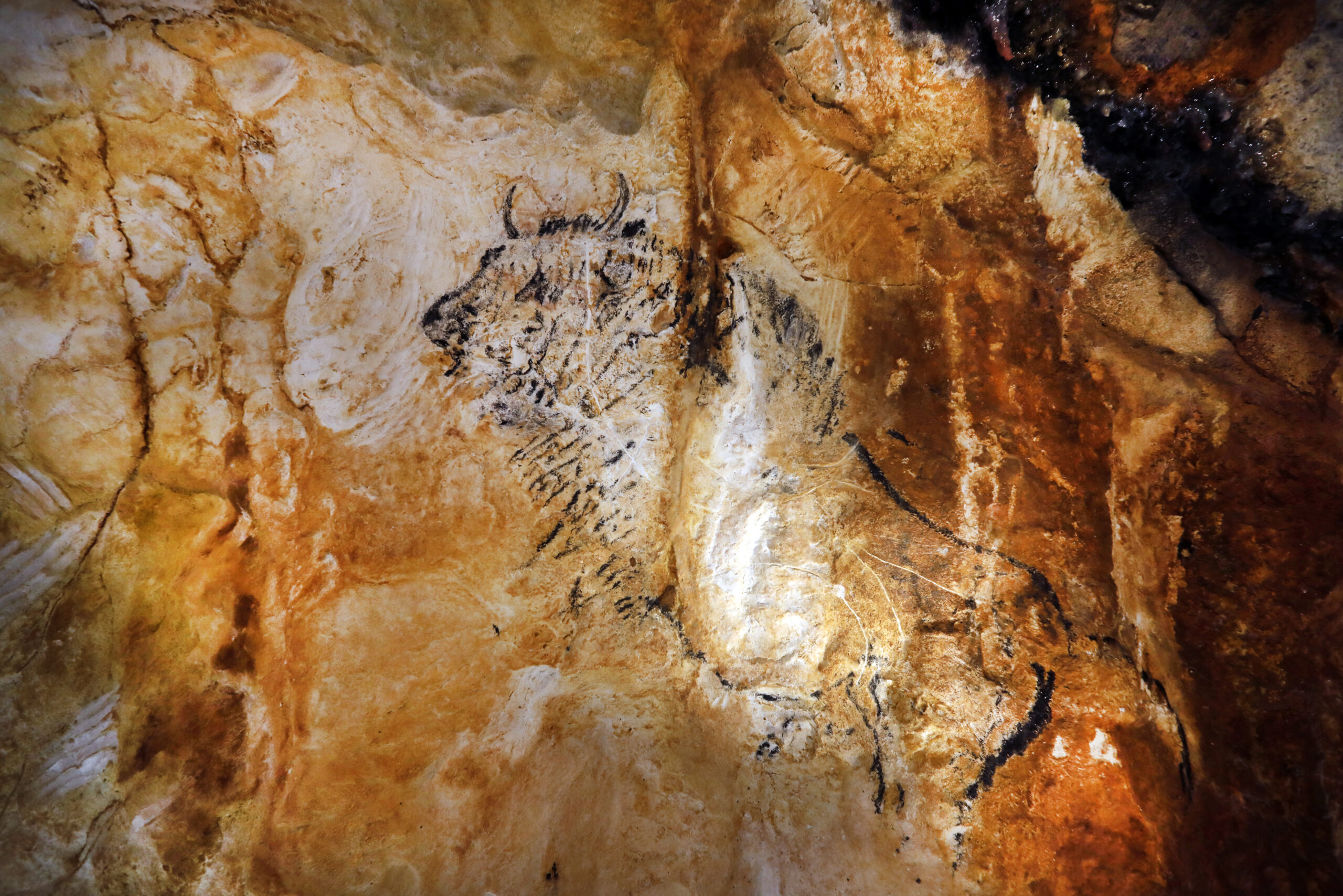 Tour a Submerged Cave Packed With Paleolithic Art—Without Ever Venturing Underwater | Smart News - Vimarsana News